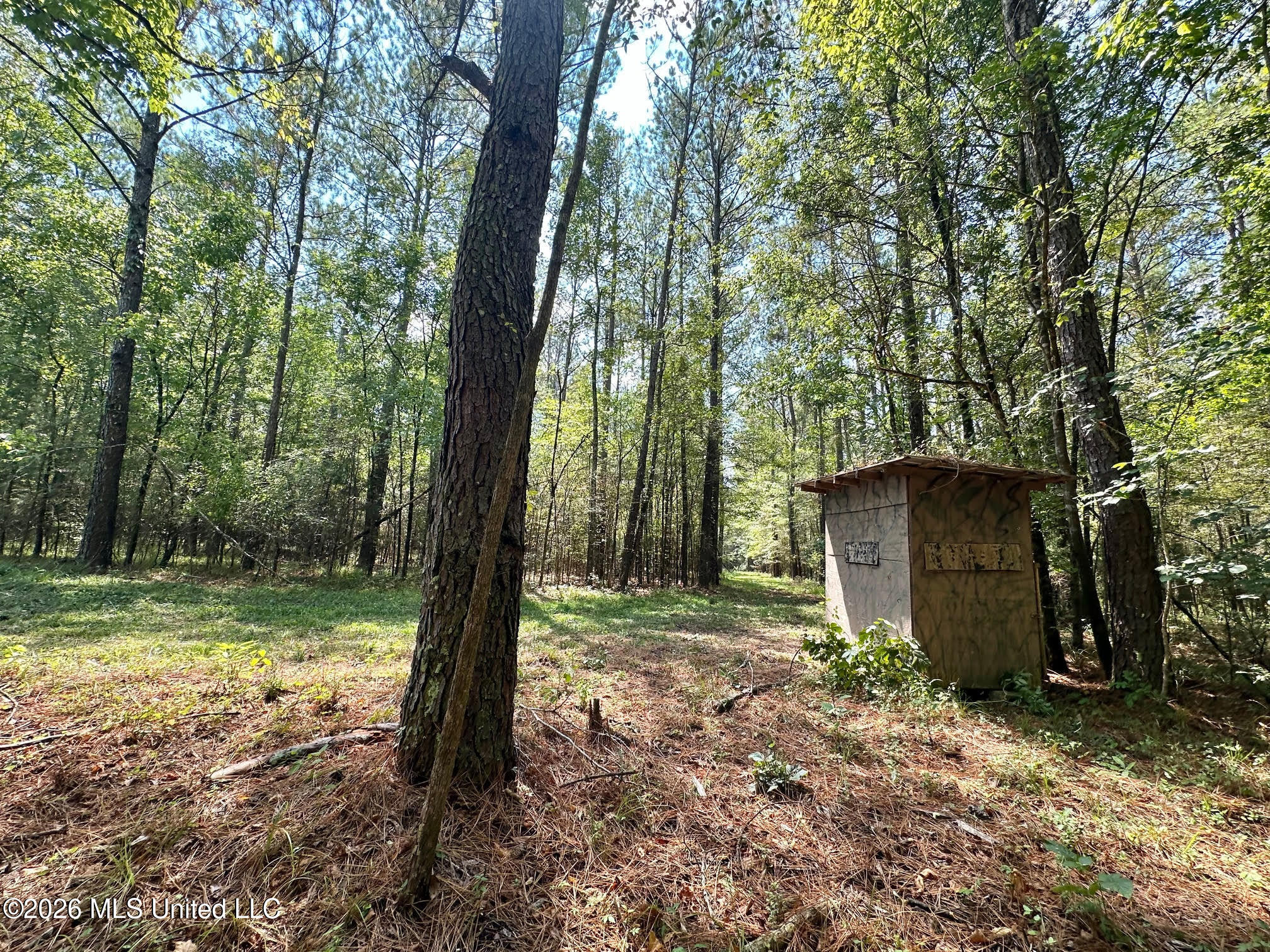 8 Forest Service Road 562 Property Photo 1