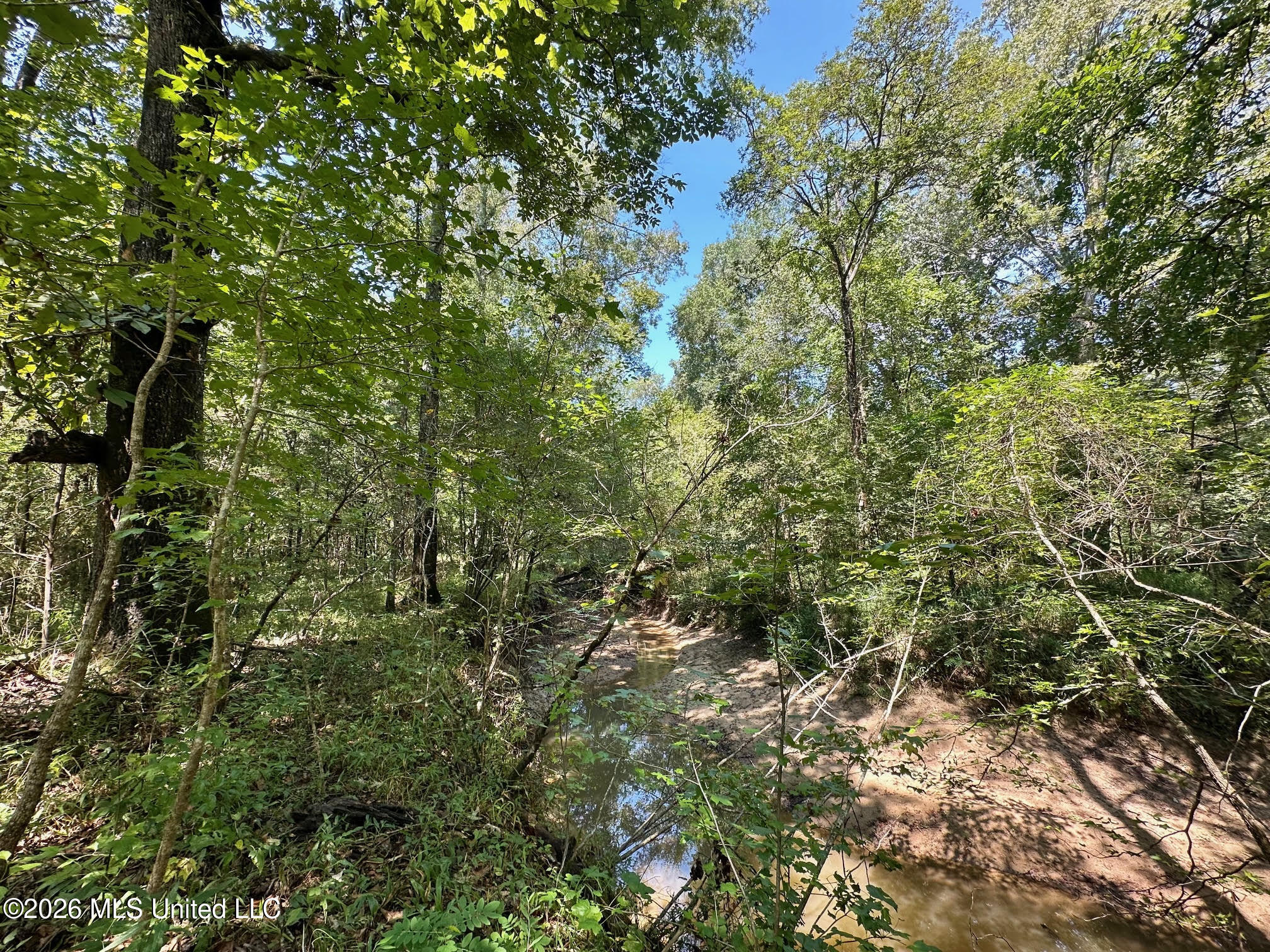 8 Forest Service Road 562 Property Photo 10