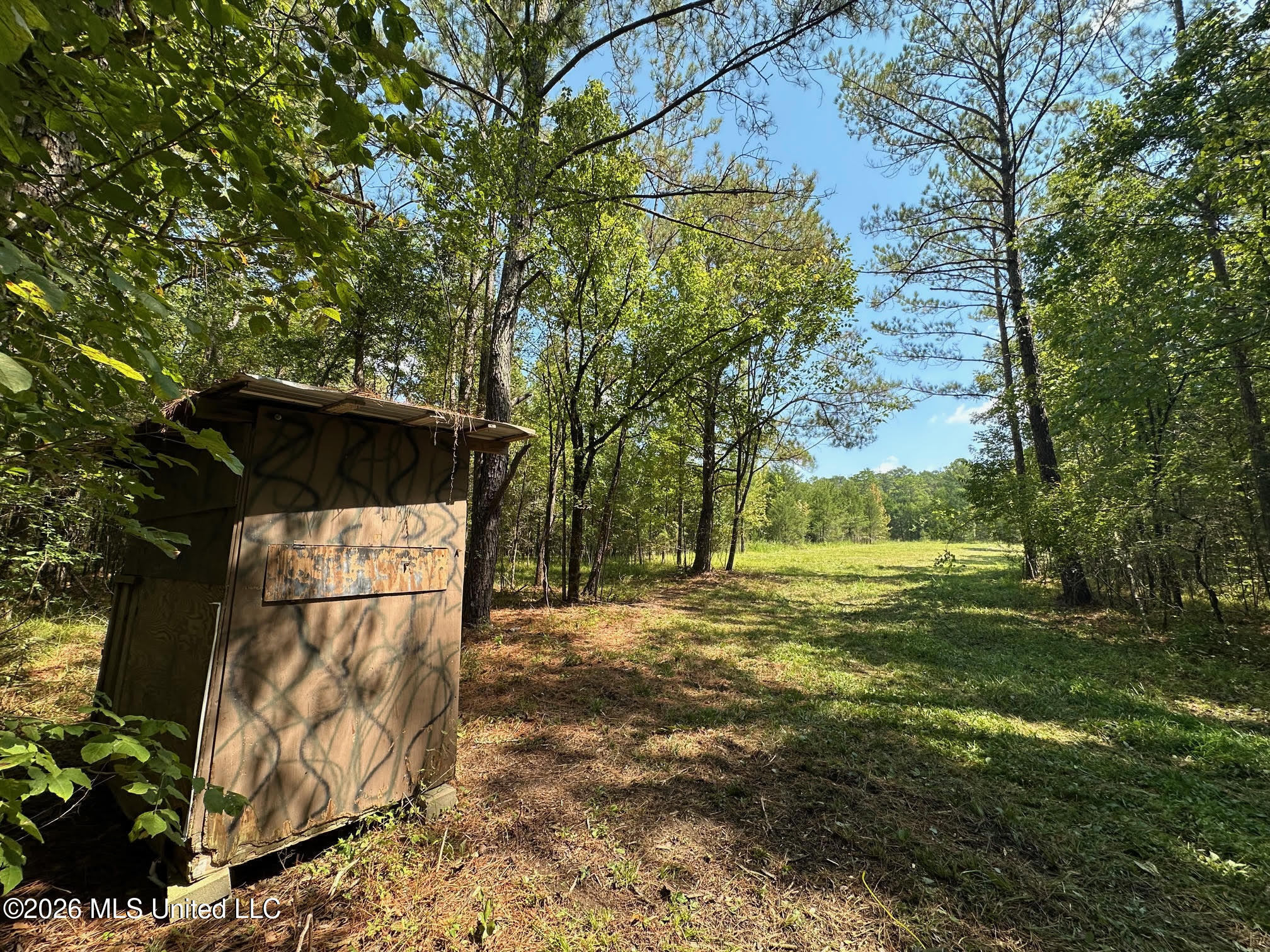8 Forest Service Road 562 Property Photo 15