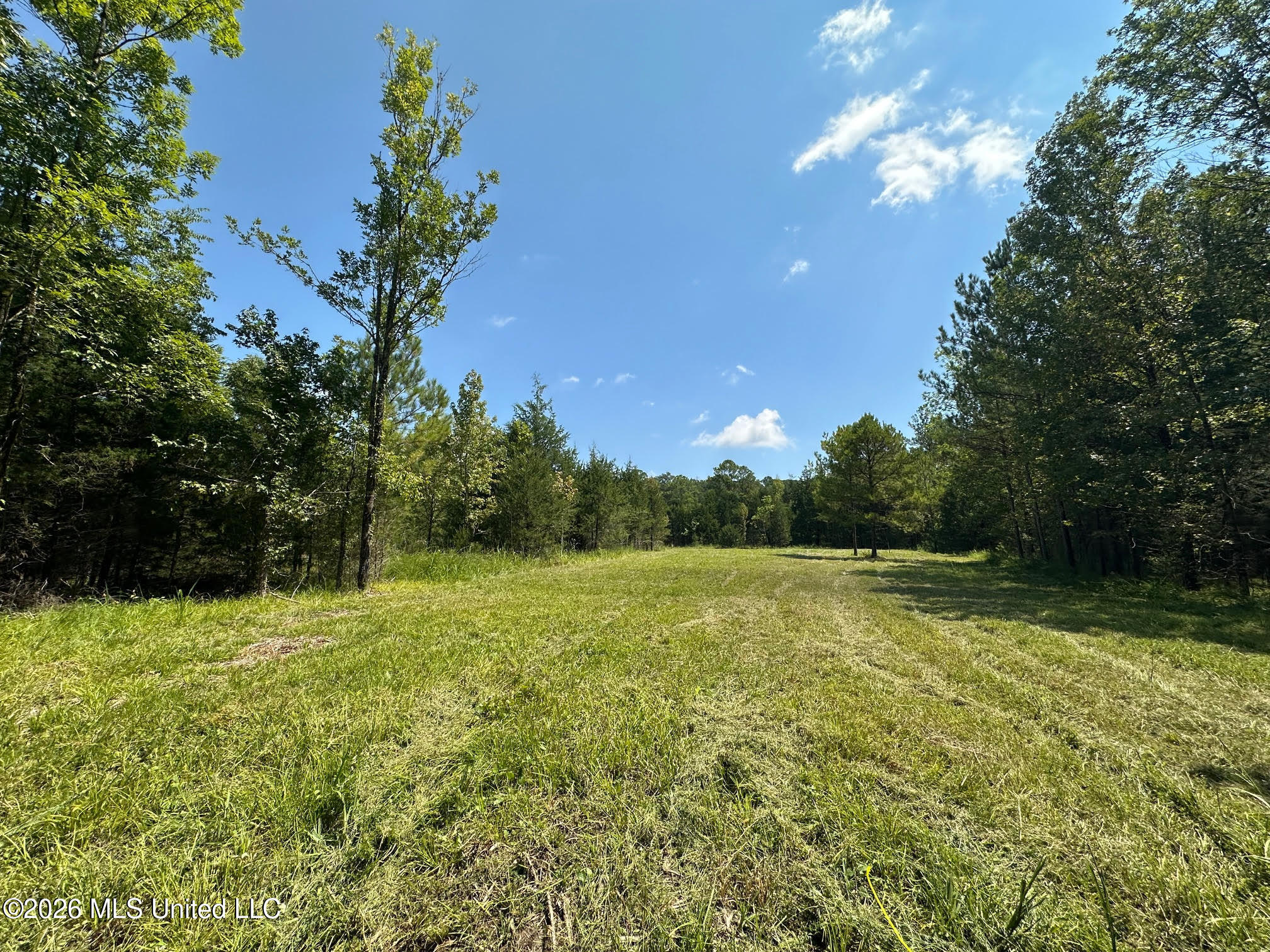 8 Forest Service Road 562 Property Photo 16