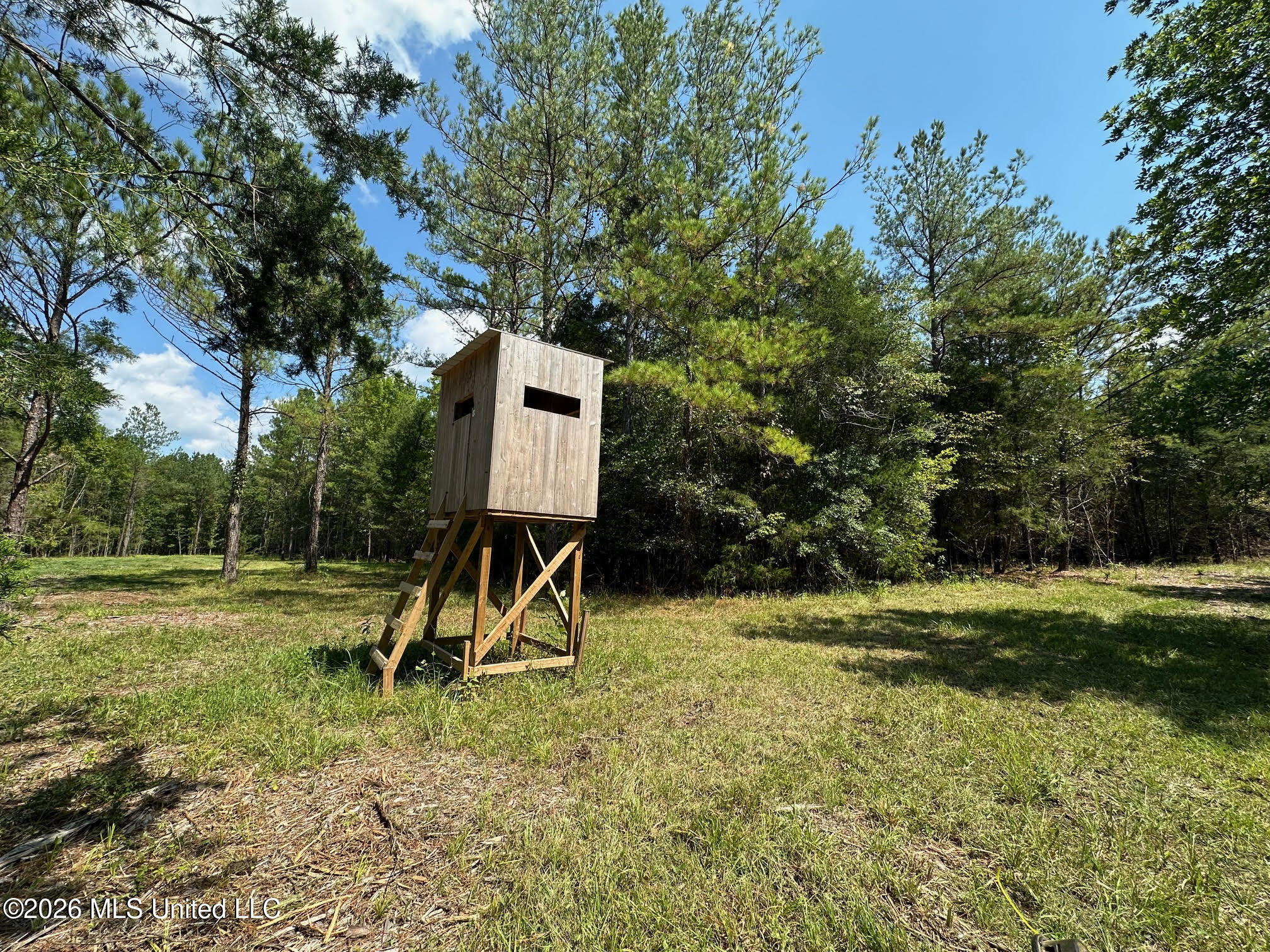 8 Forest Service Road 562 Property Photo 17