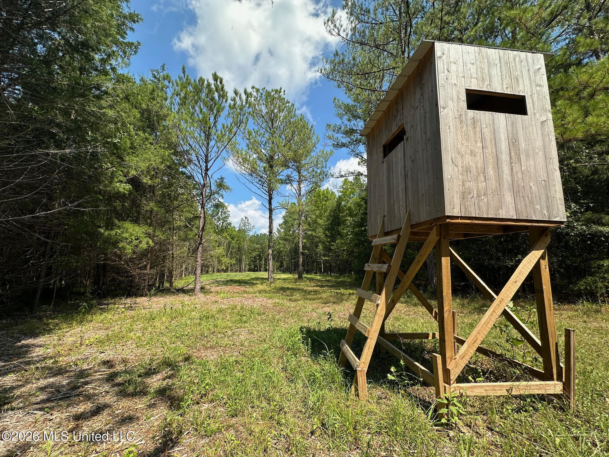 8 Forest Service Road 562 Property Photo 18