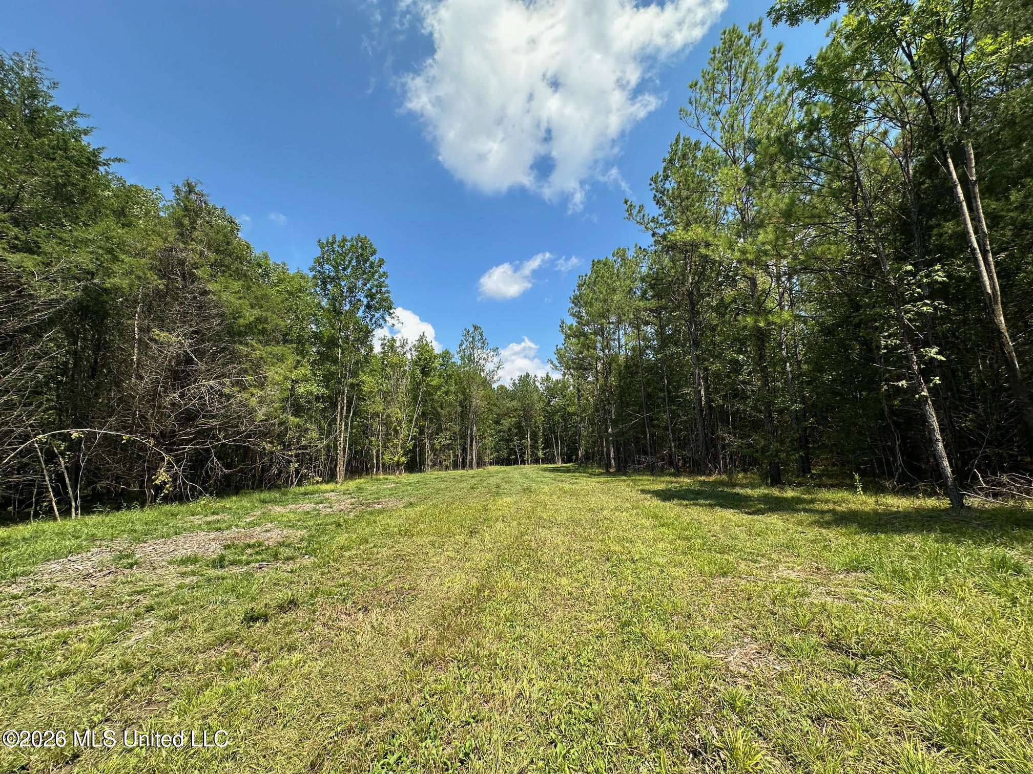 8 Forest Service Road 562 Property Photo 19