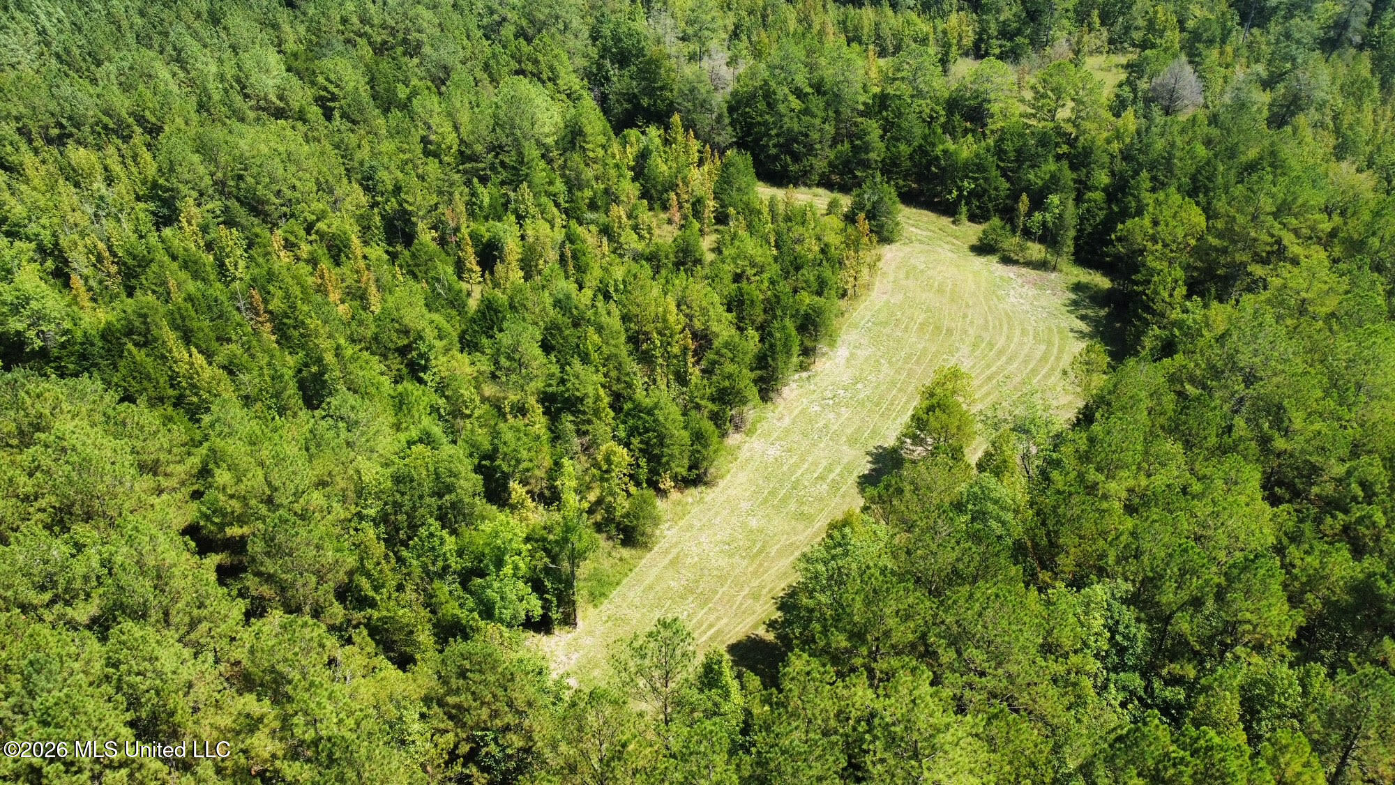 8 Forest Service Road 562 Property Photo 27