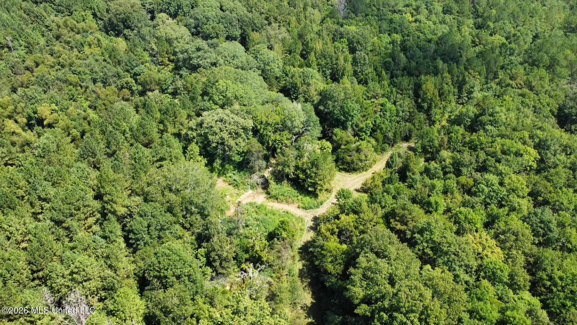 8 Forest Service Road 562 Property Photo 29