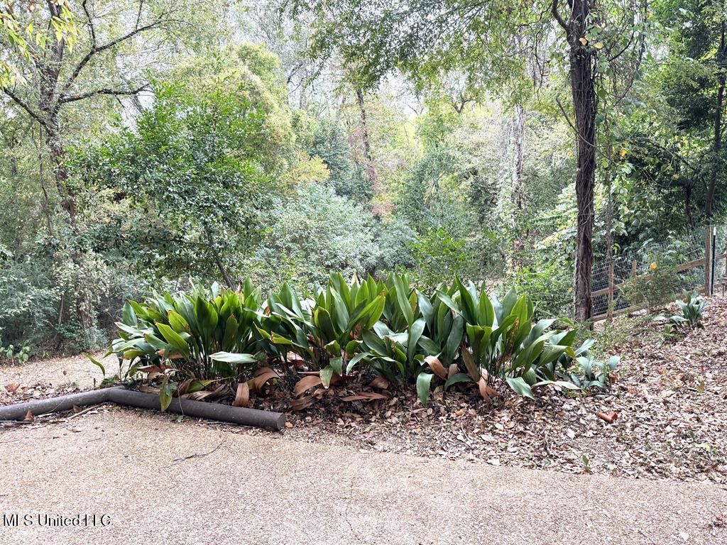 102 Dana Road Property Photo 47