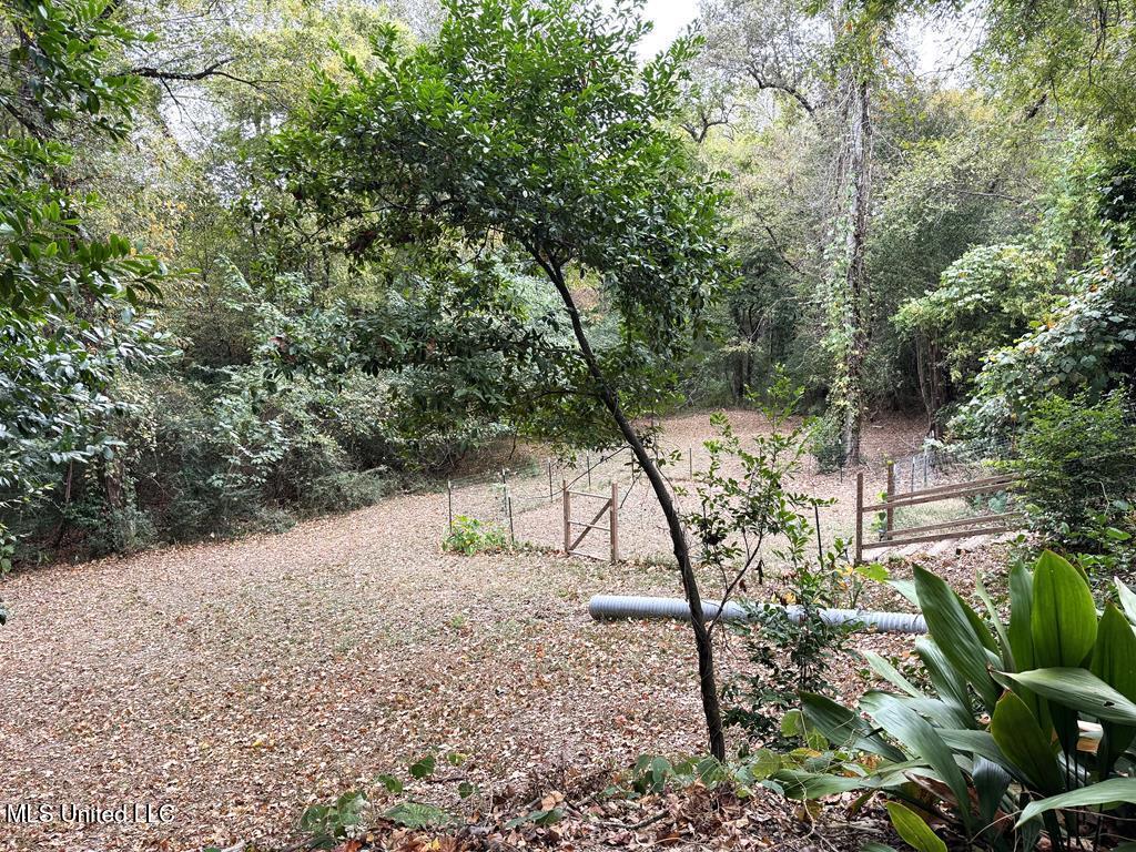 102 Dana Road Property Photo 48