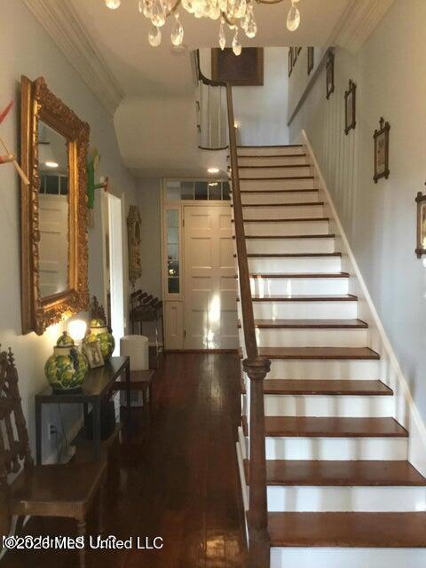 708 Orleans Street Property Photo 4