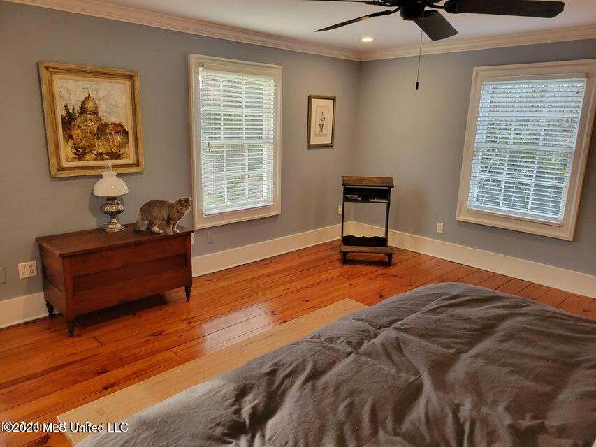 708 Orleans Street Property Photo 15