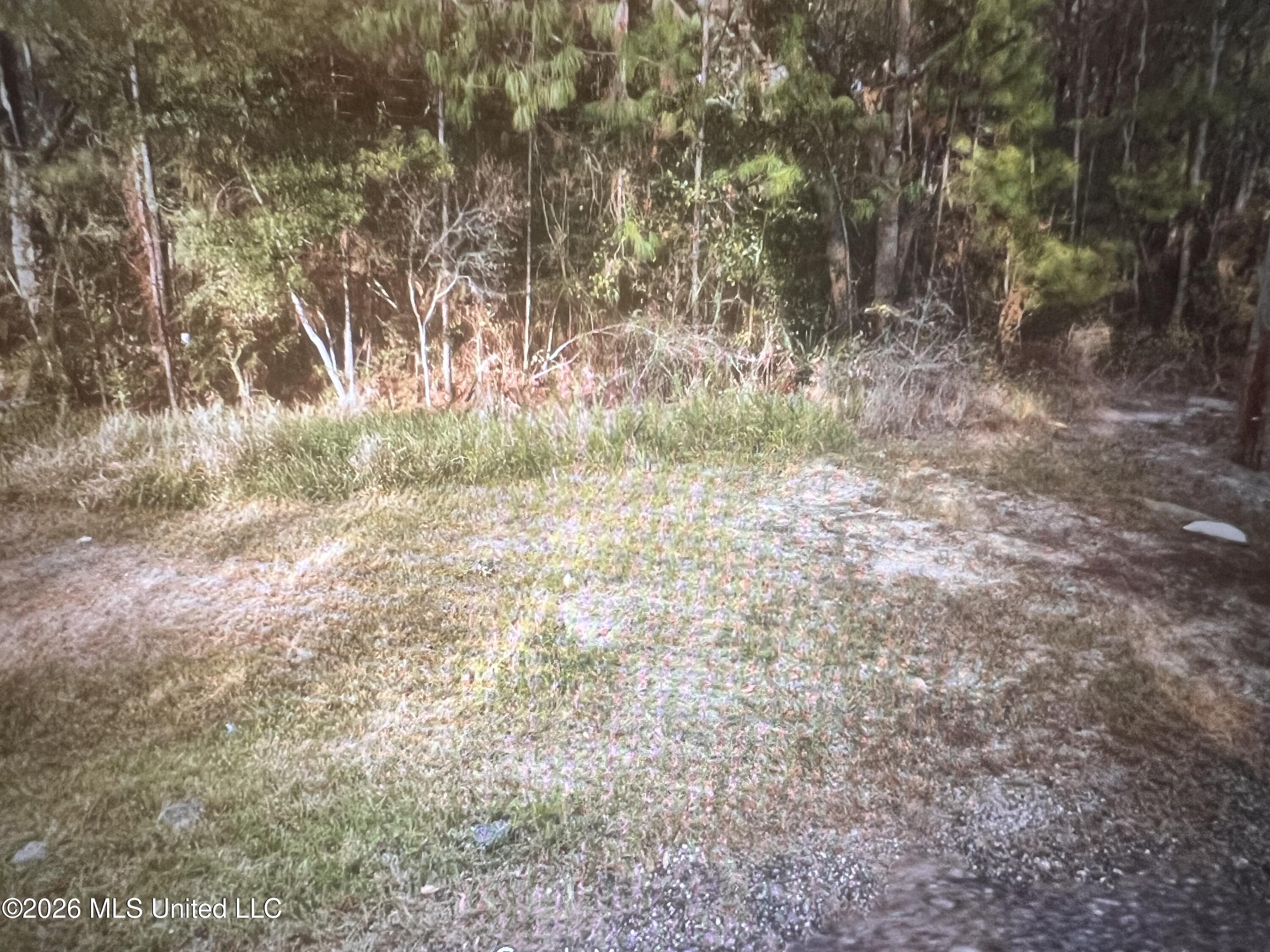 3078 Fifth Street Property Photo 1