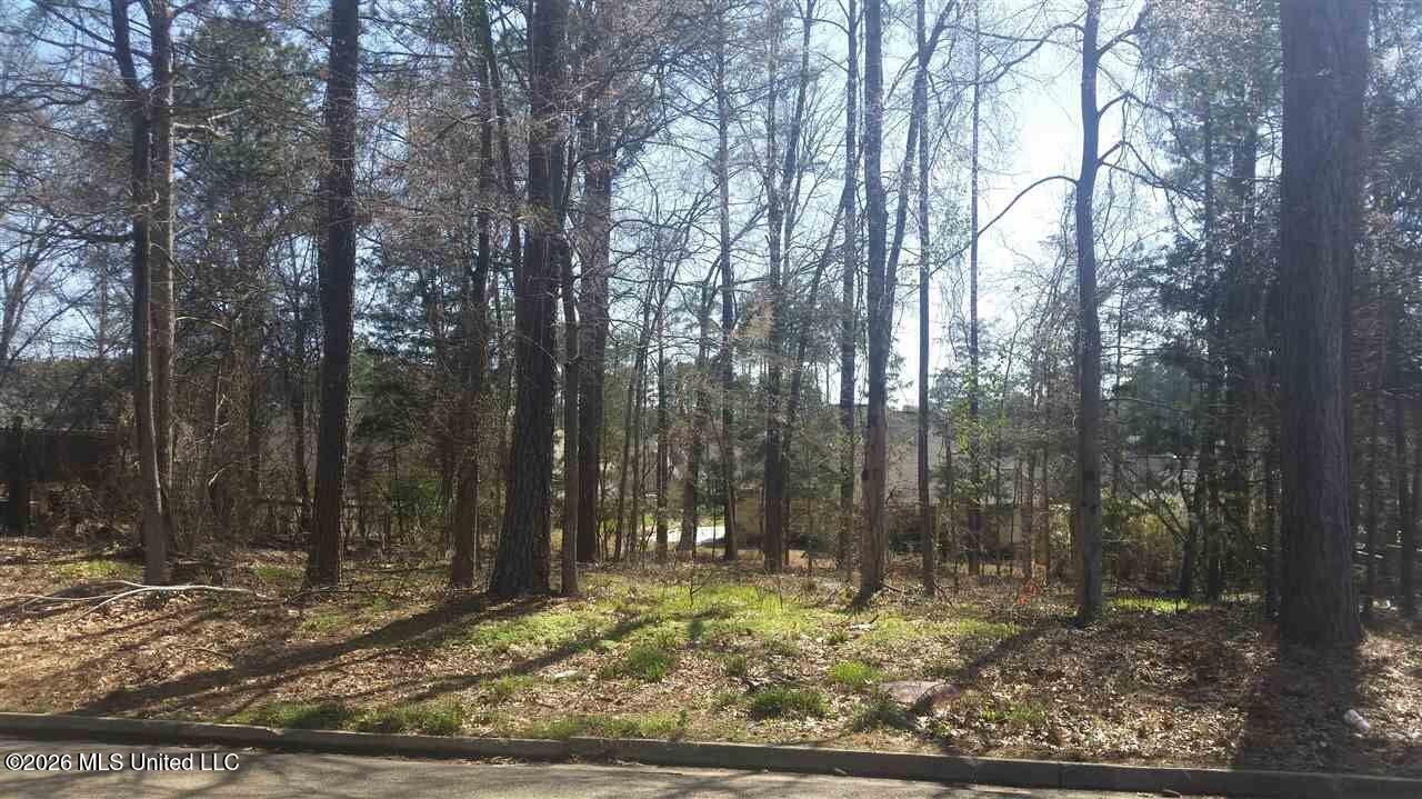 208 Breezy Hill Drive Property Photo 1