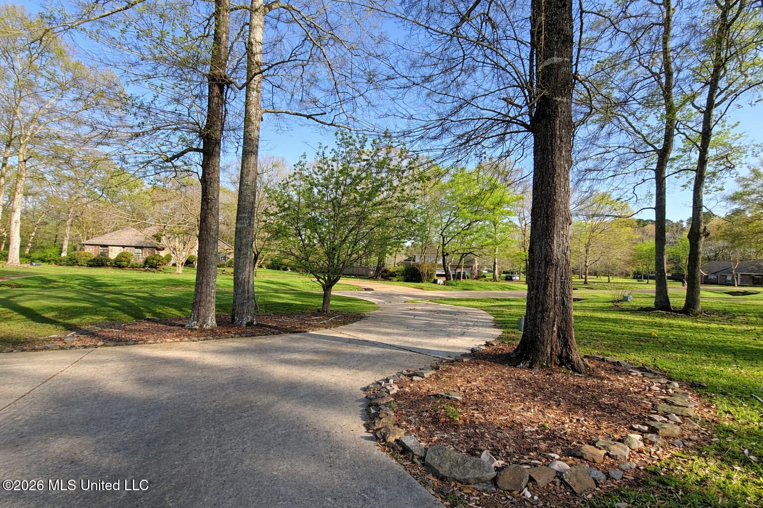 204 Magnolia Springs Boulevard Property Photo 6
