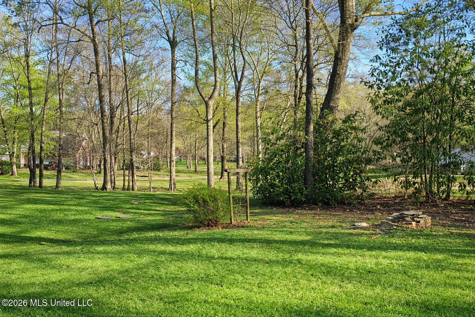 204 Magnolia Springs Boulevard Property Photo 43