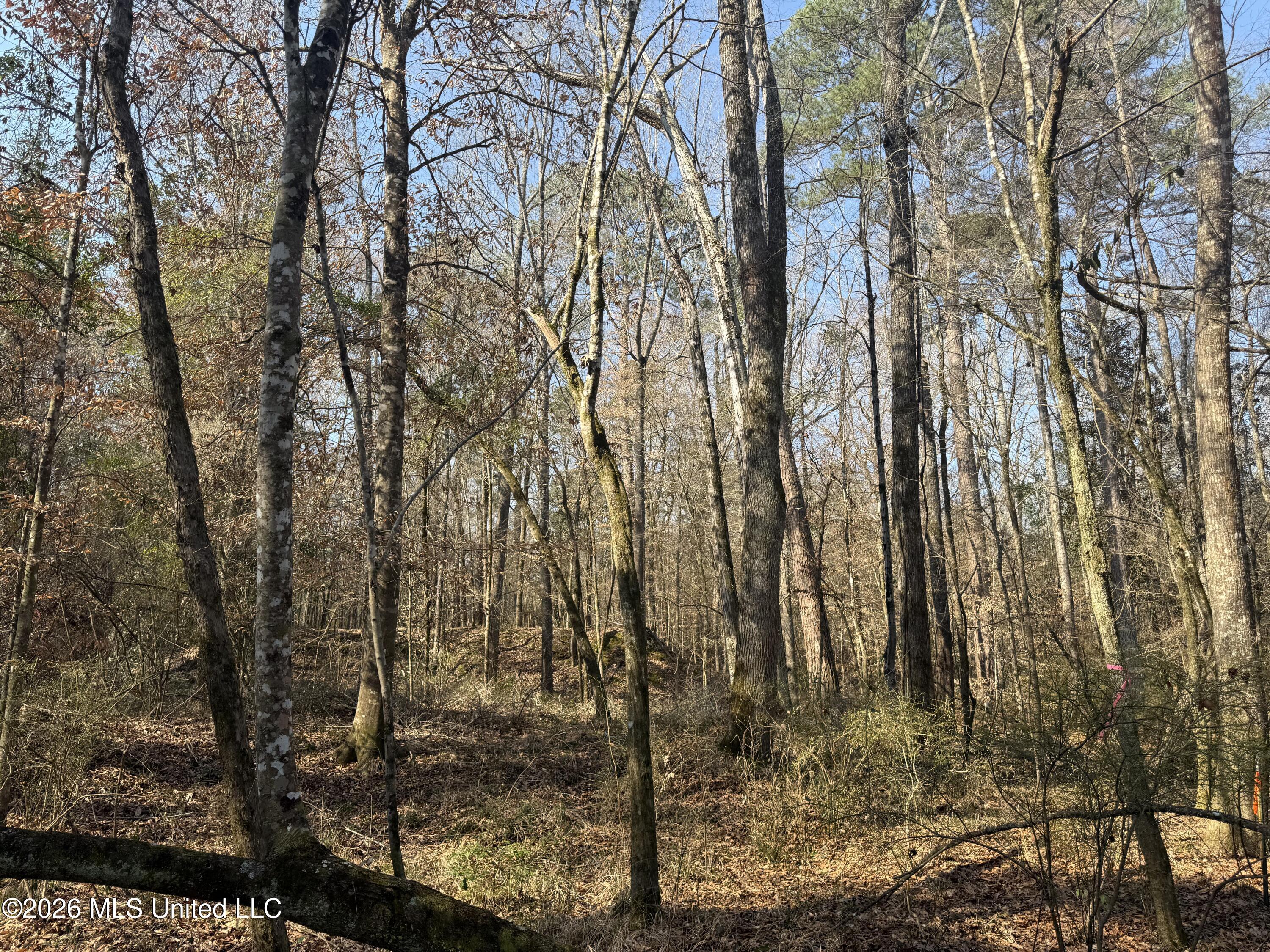 Railroad Lane Property Photo 2