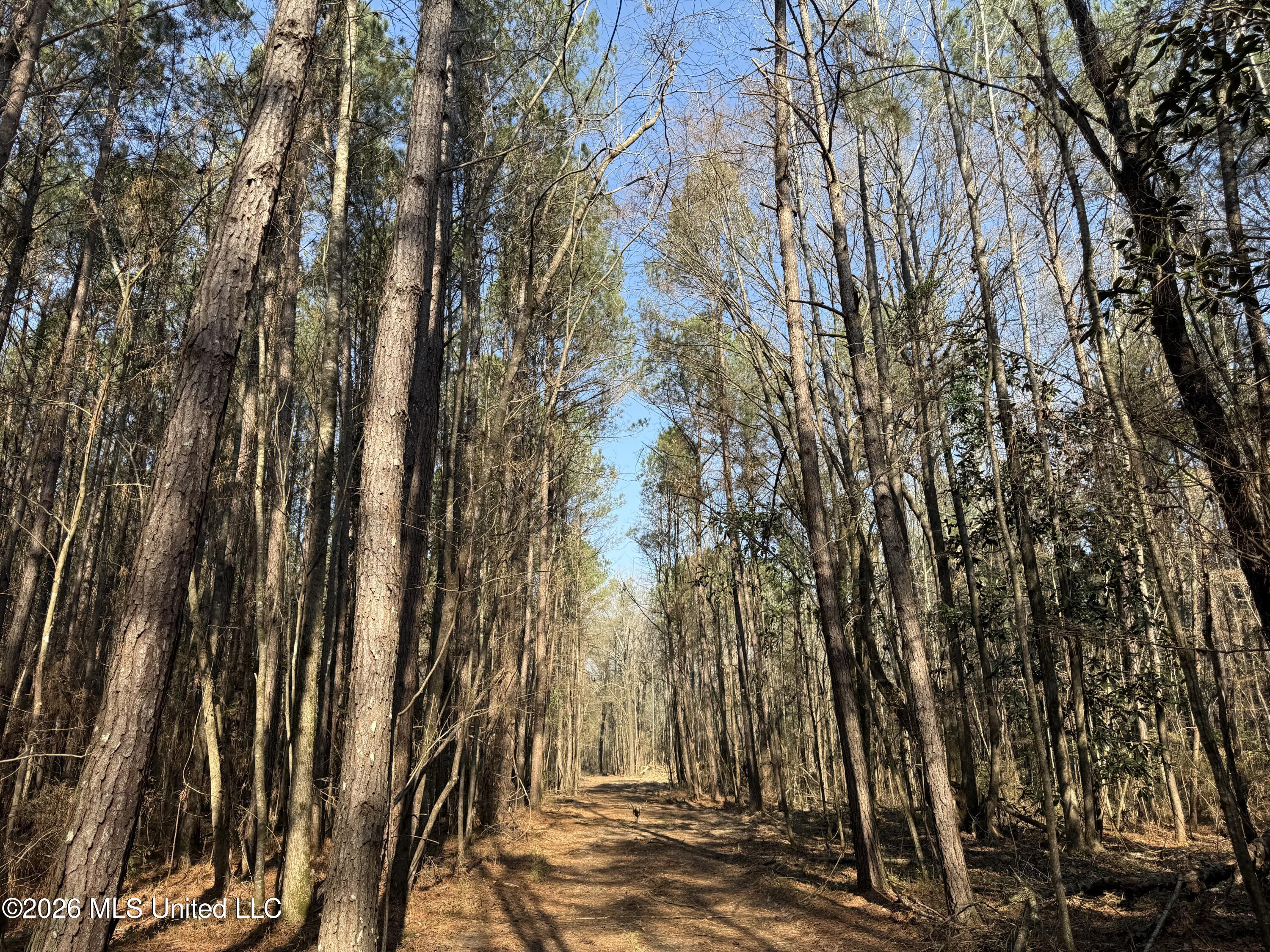 Railroad Lane Property Photo 3