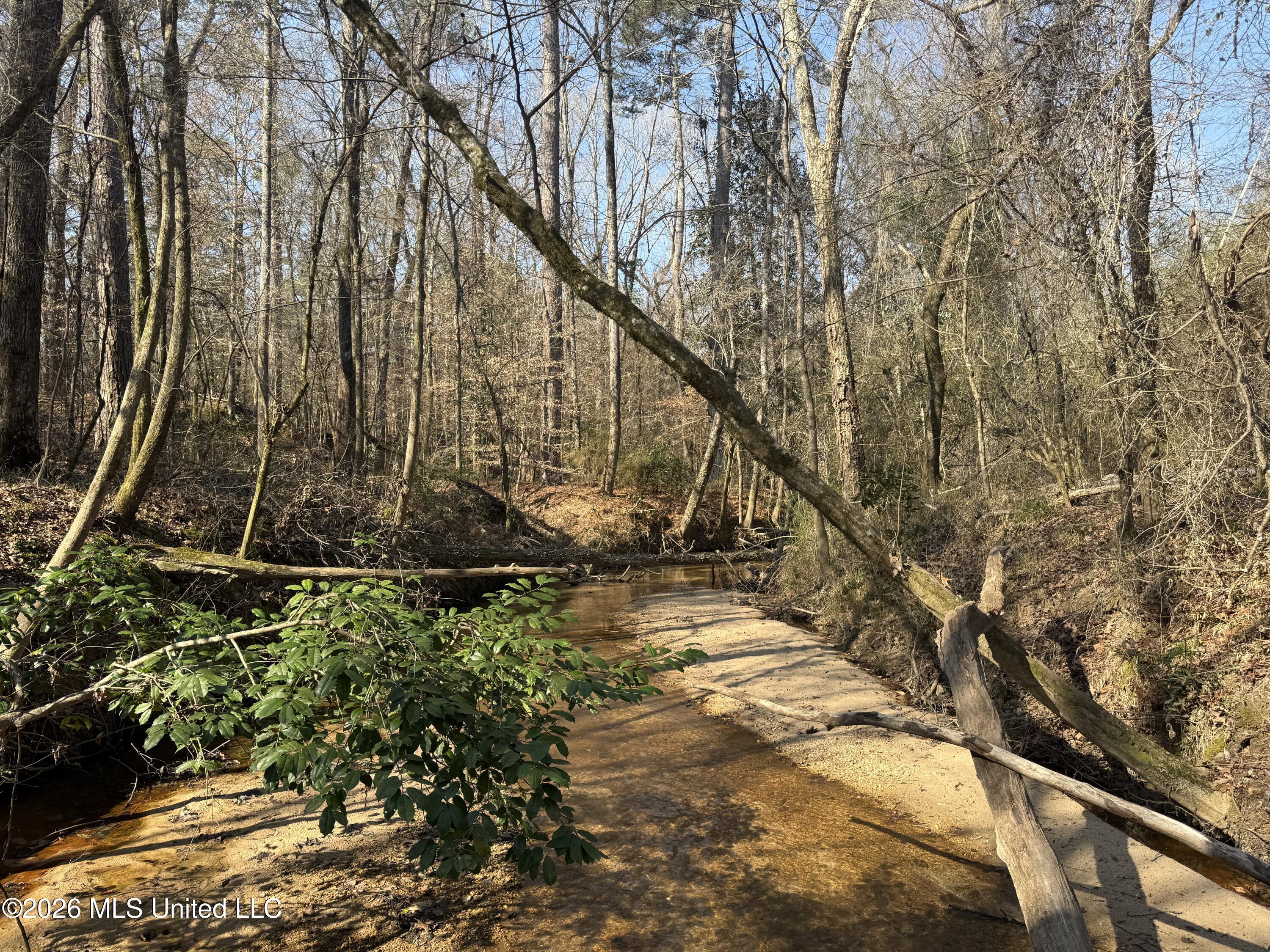 Railroad Lane Property Photo 4