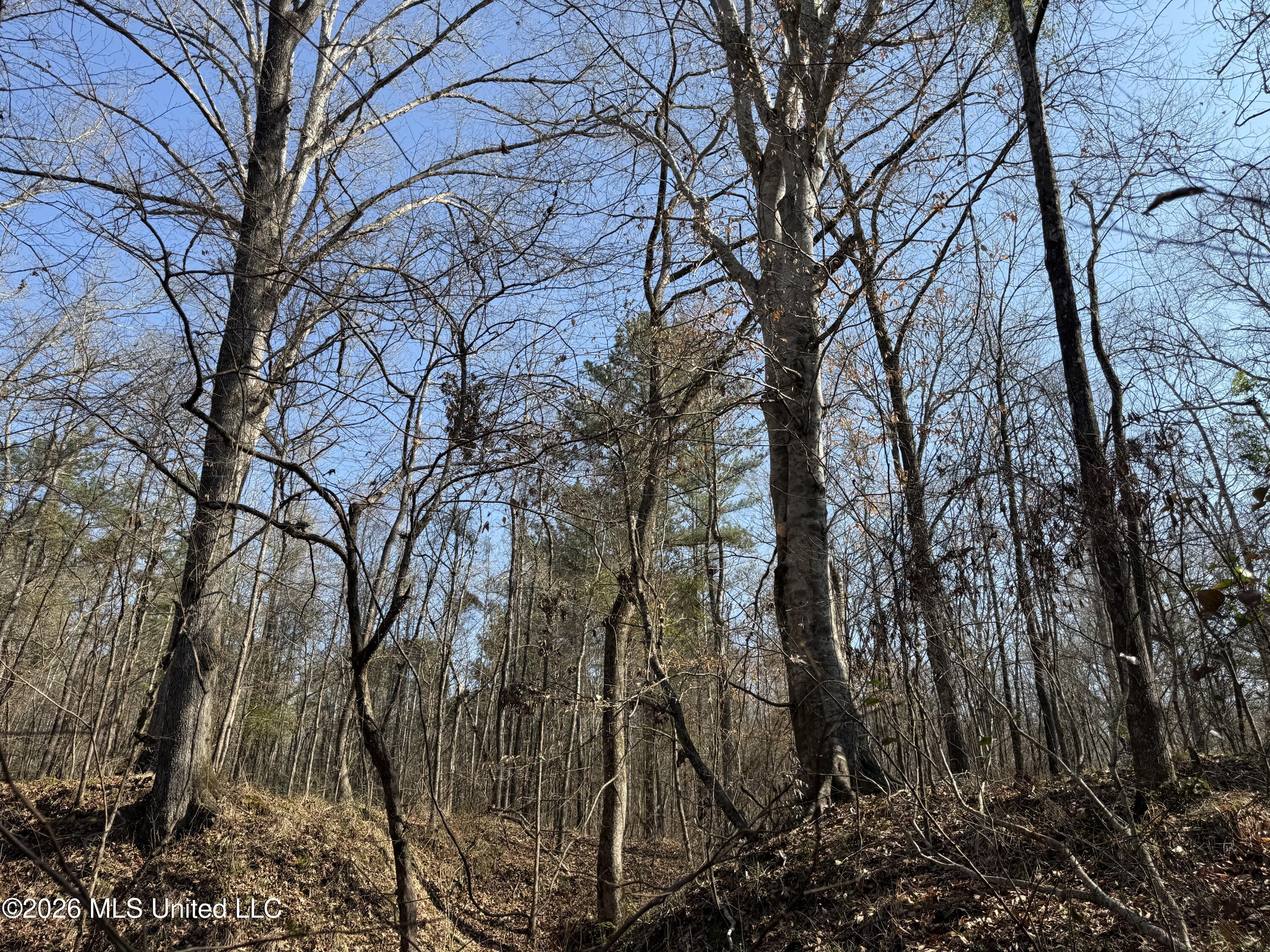 Railroad Lane Property Photo 6