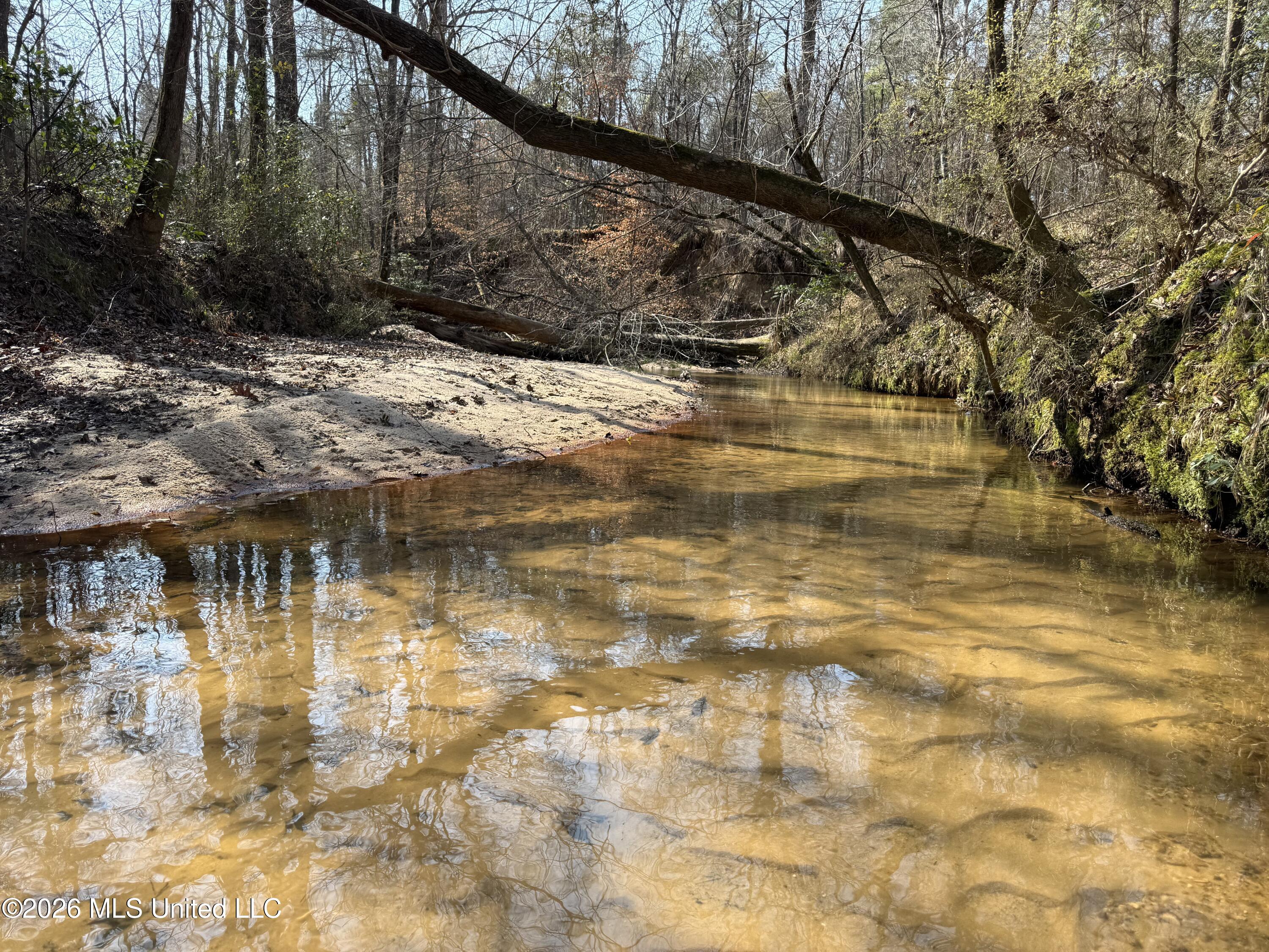 Railroad Lane Property Photo 10