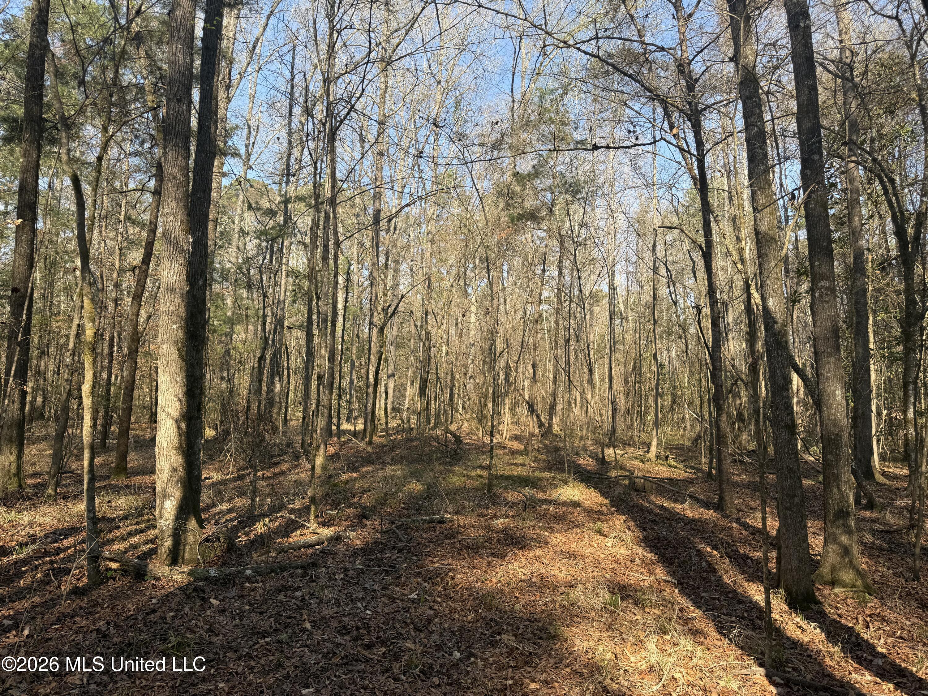 Railroad Lane Property Photo 12