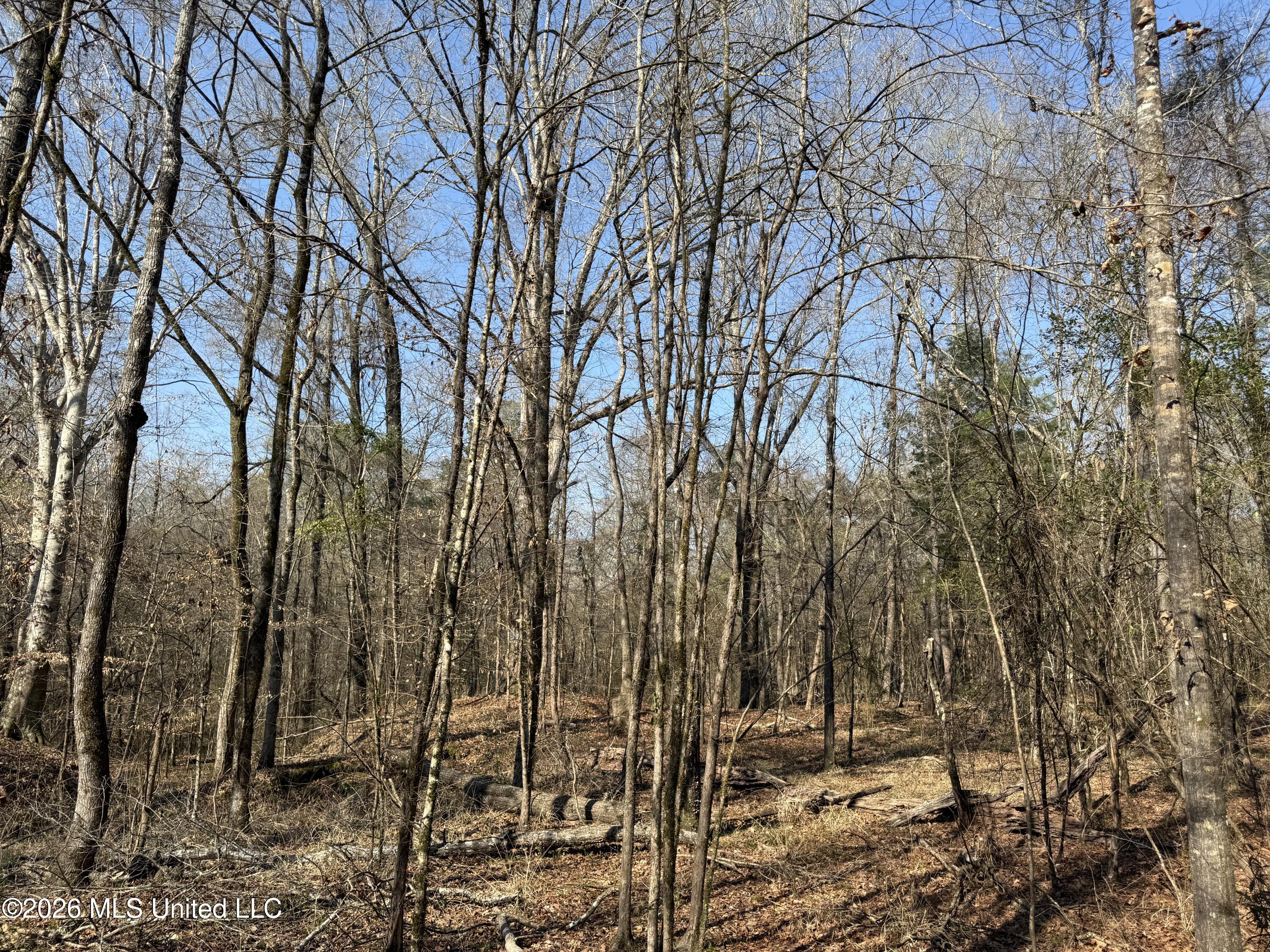 Railroad Lane Property Photo 13