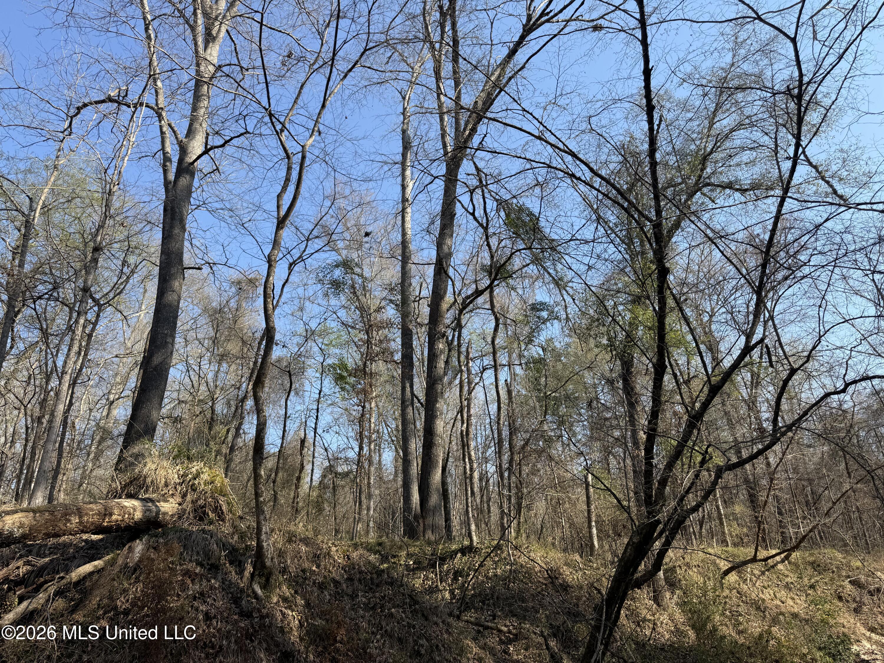 Railroad Lane Property Photo 14