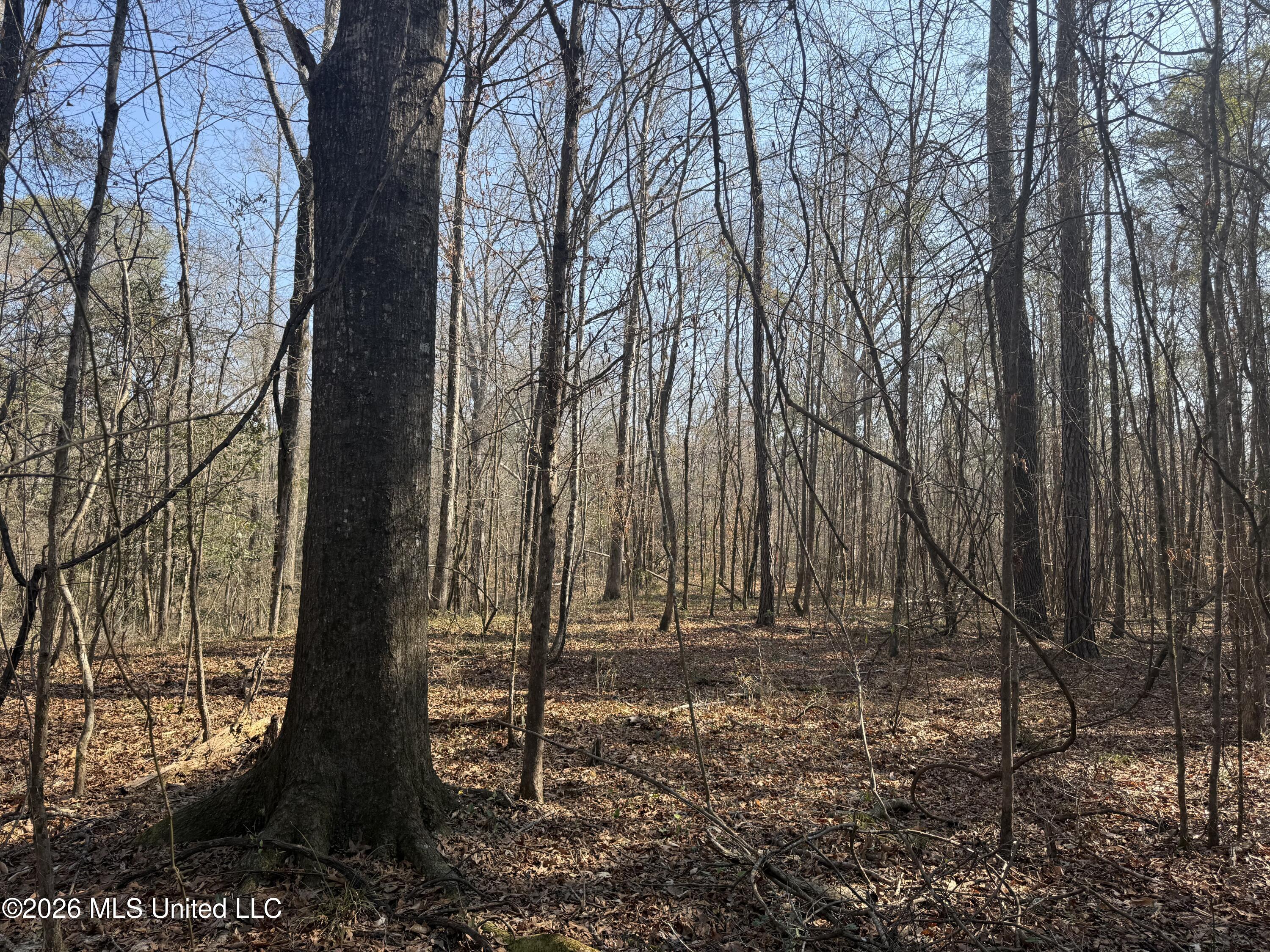 Railroad Lane Property Photo 16