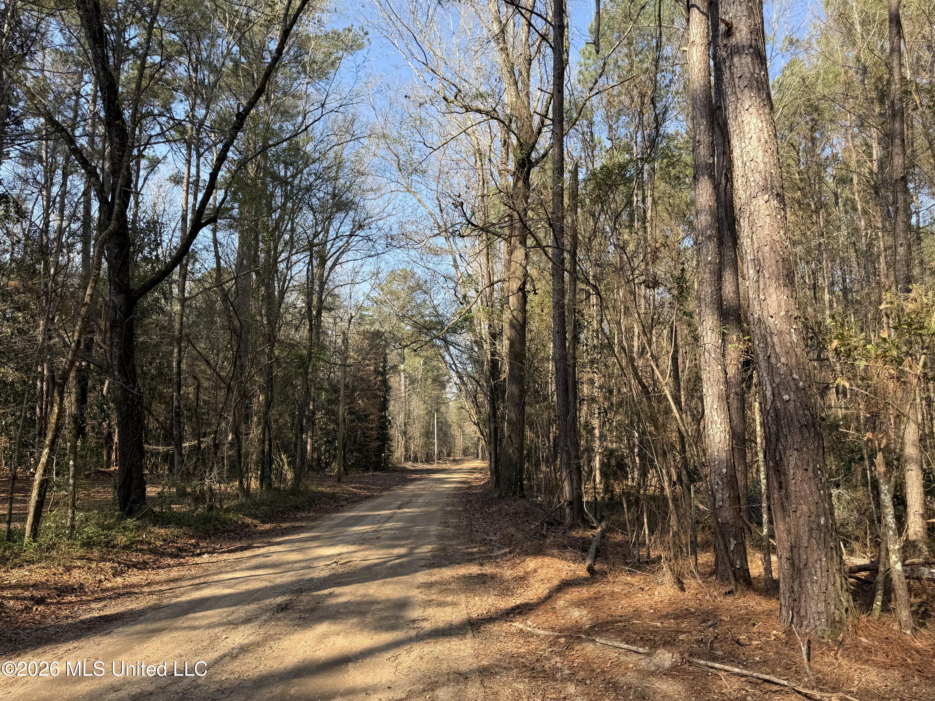 Railroad Lane Property Photo 17