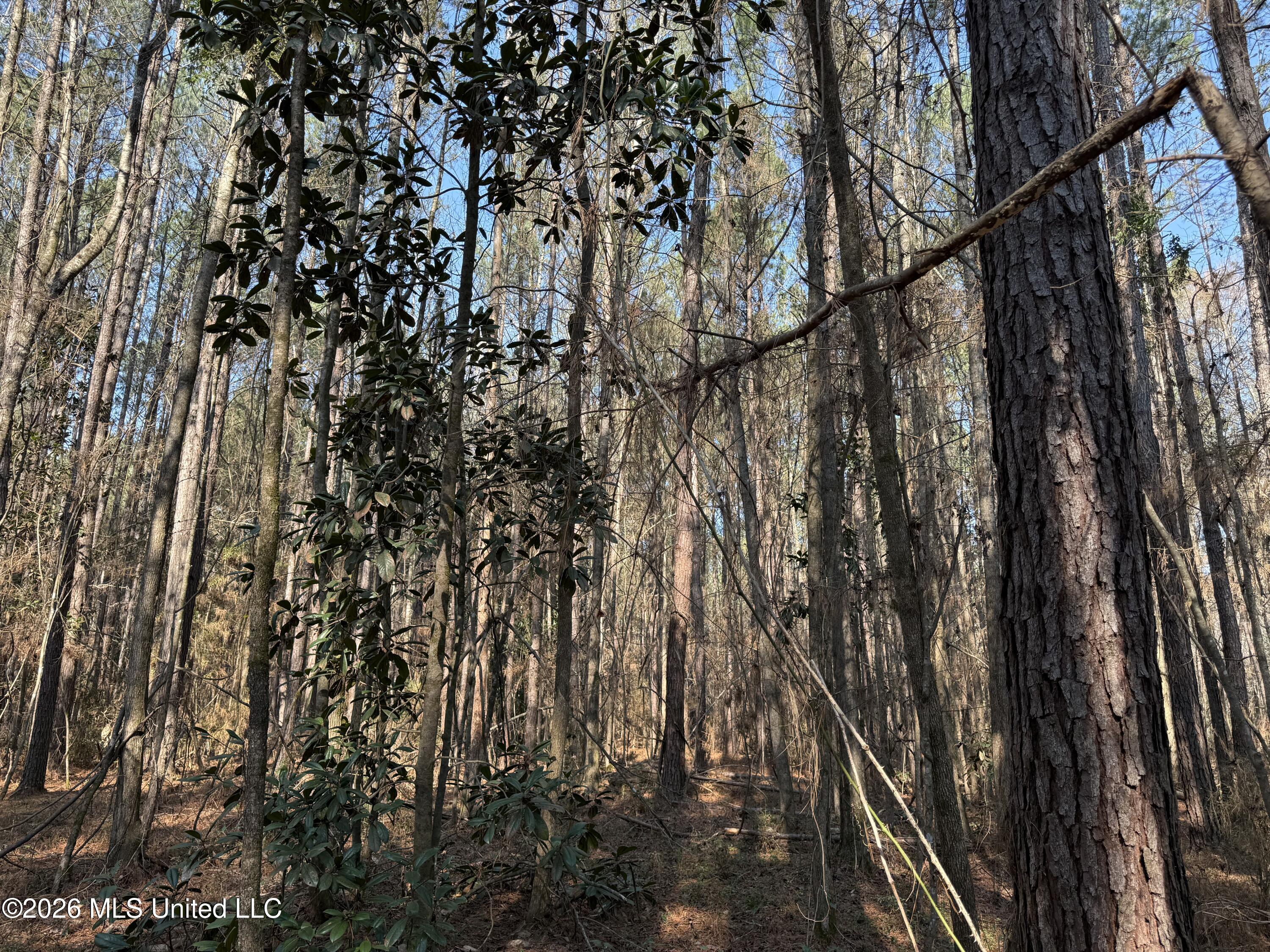 Railroad Lane Property Photo 18
