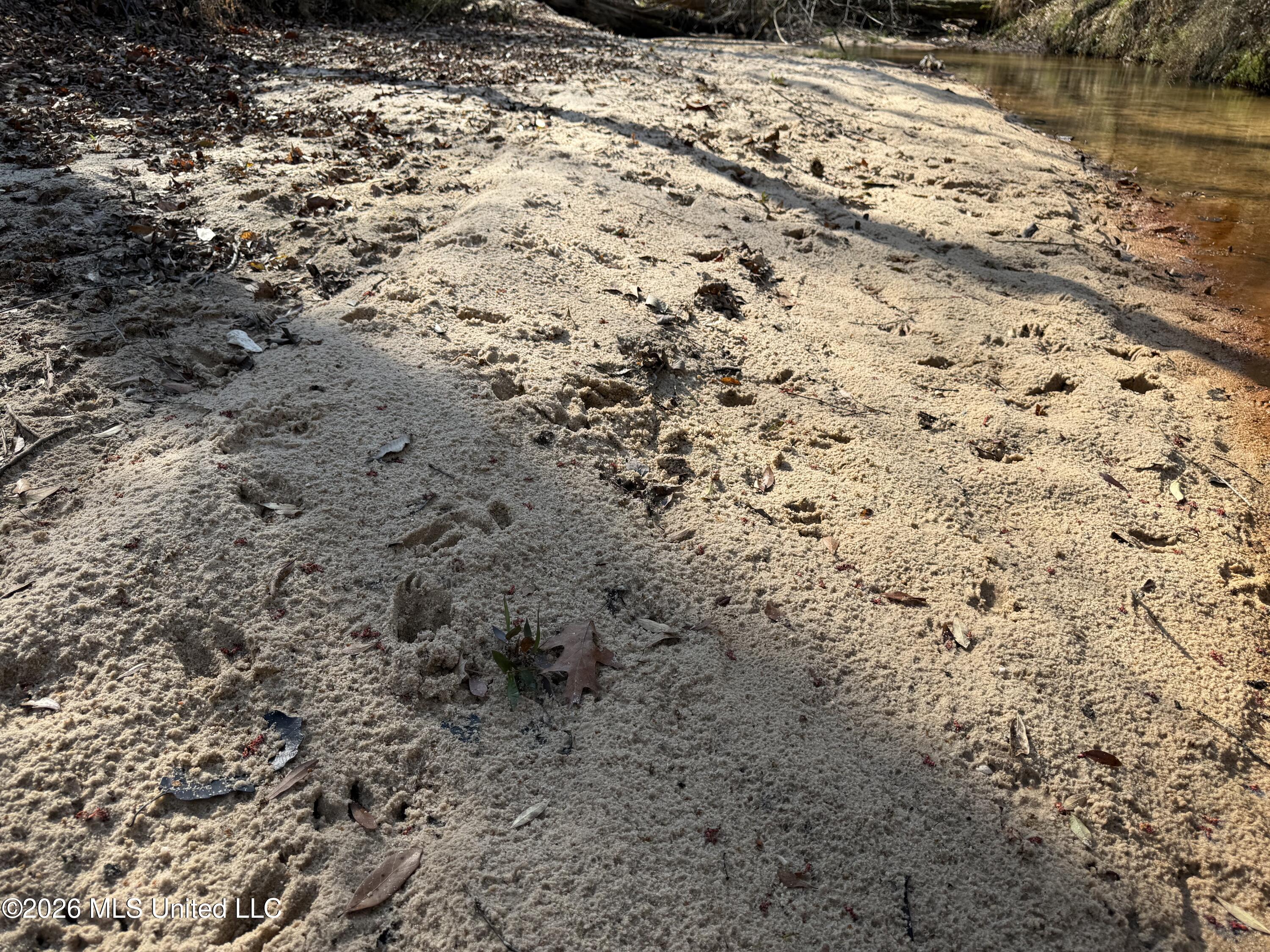 Railroad Lane Property Photo 19