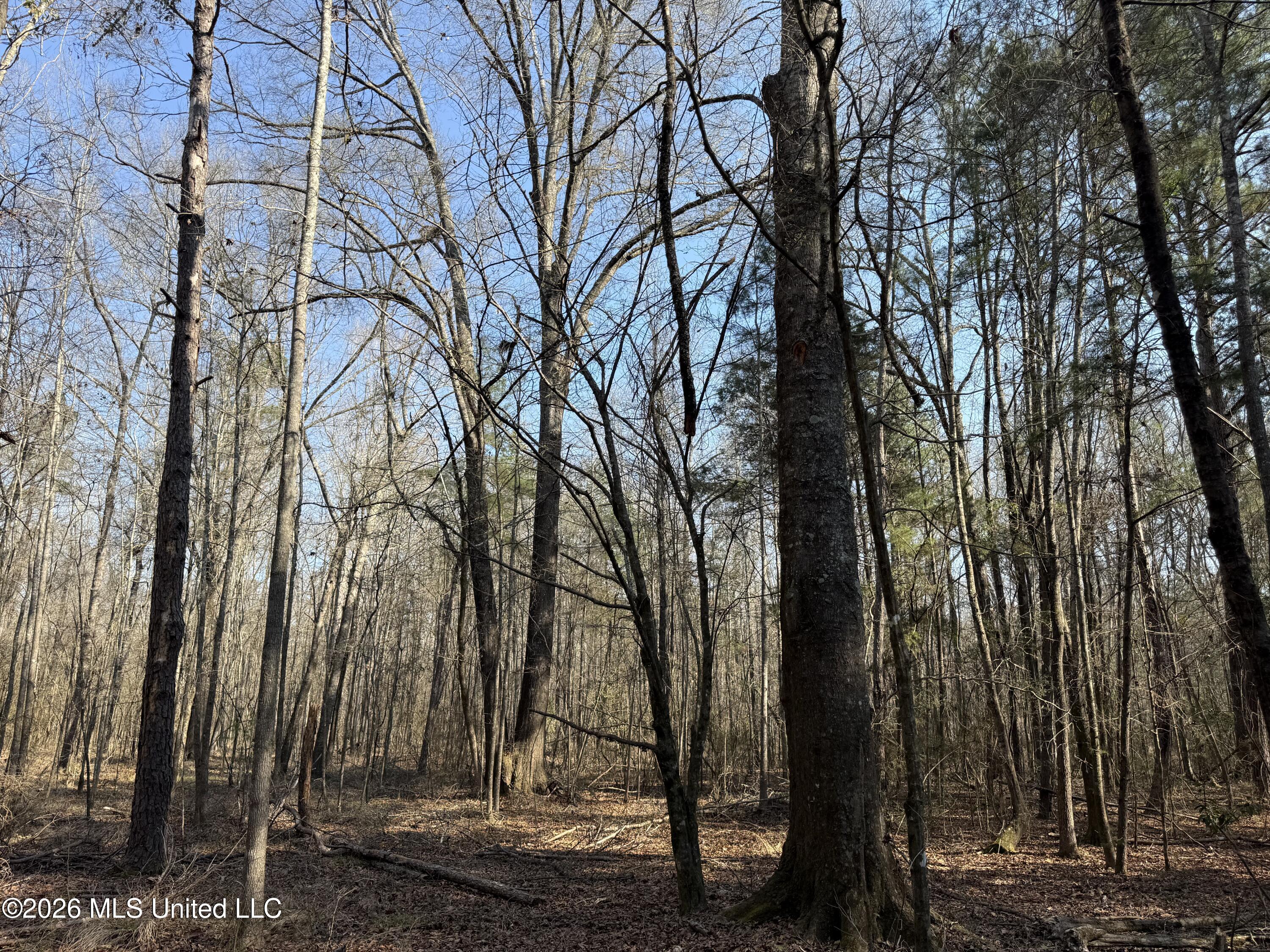 Railroad Lane Property Photo 20