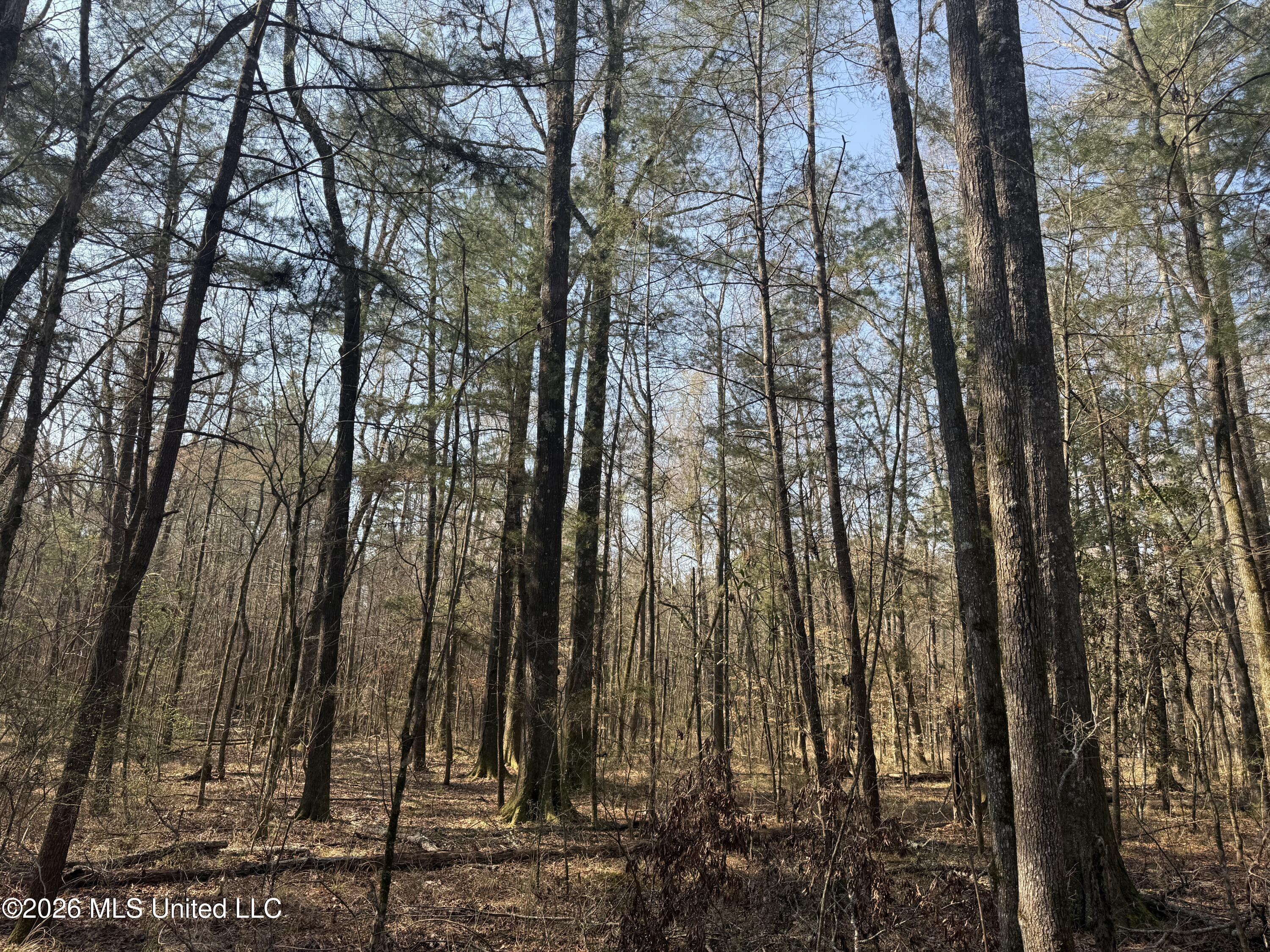 Railroad Lane Property Photo 22