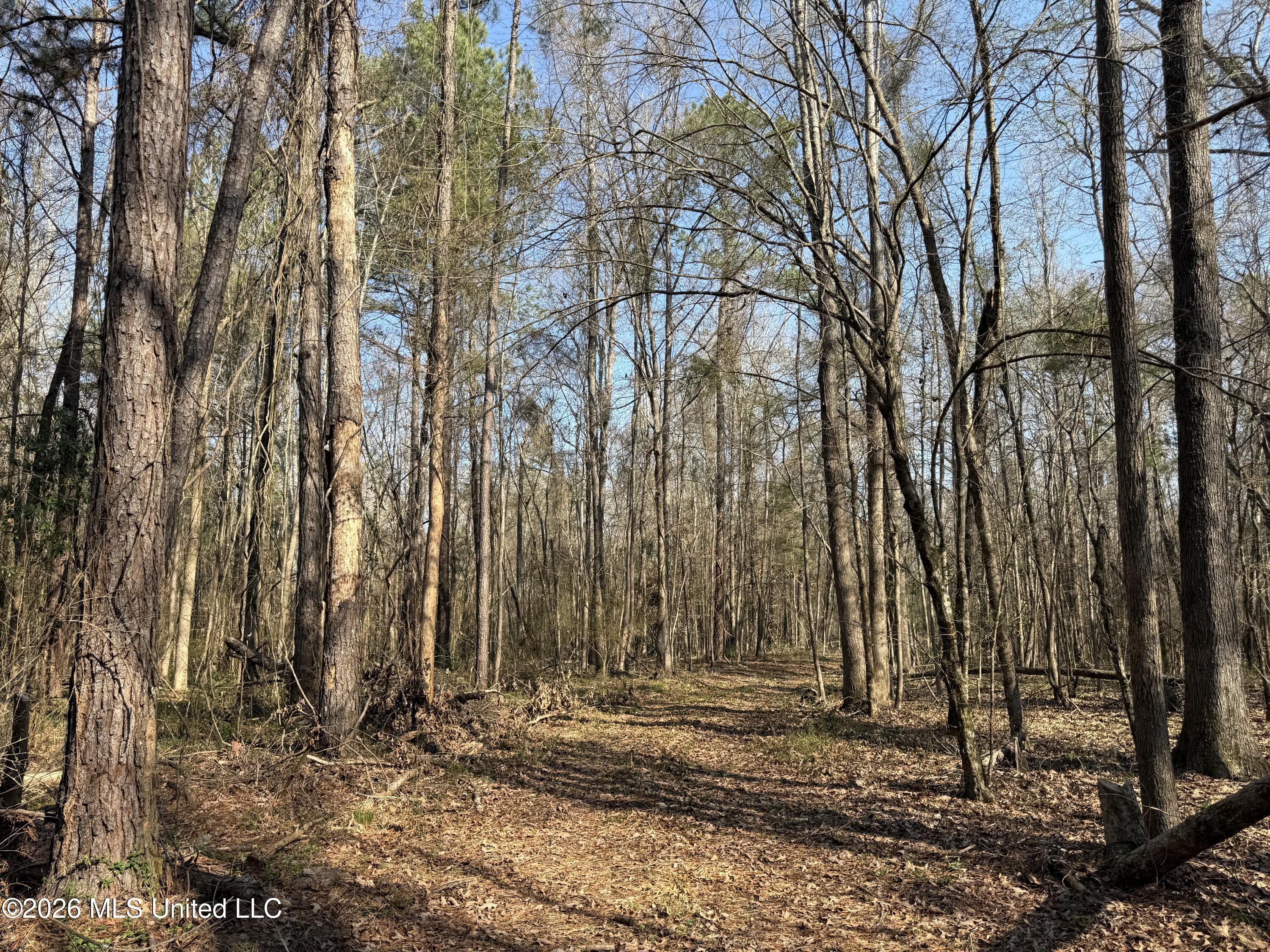 Railroad Lane Property Photo 23