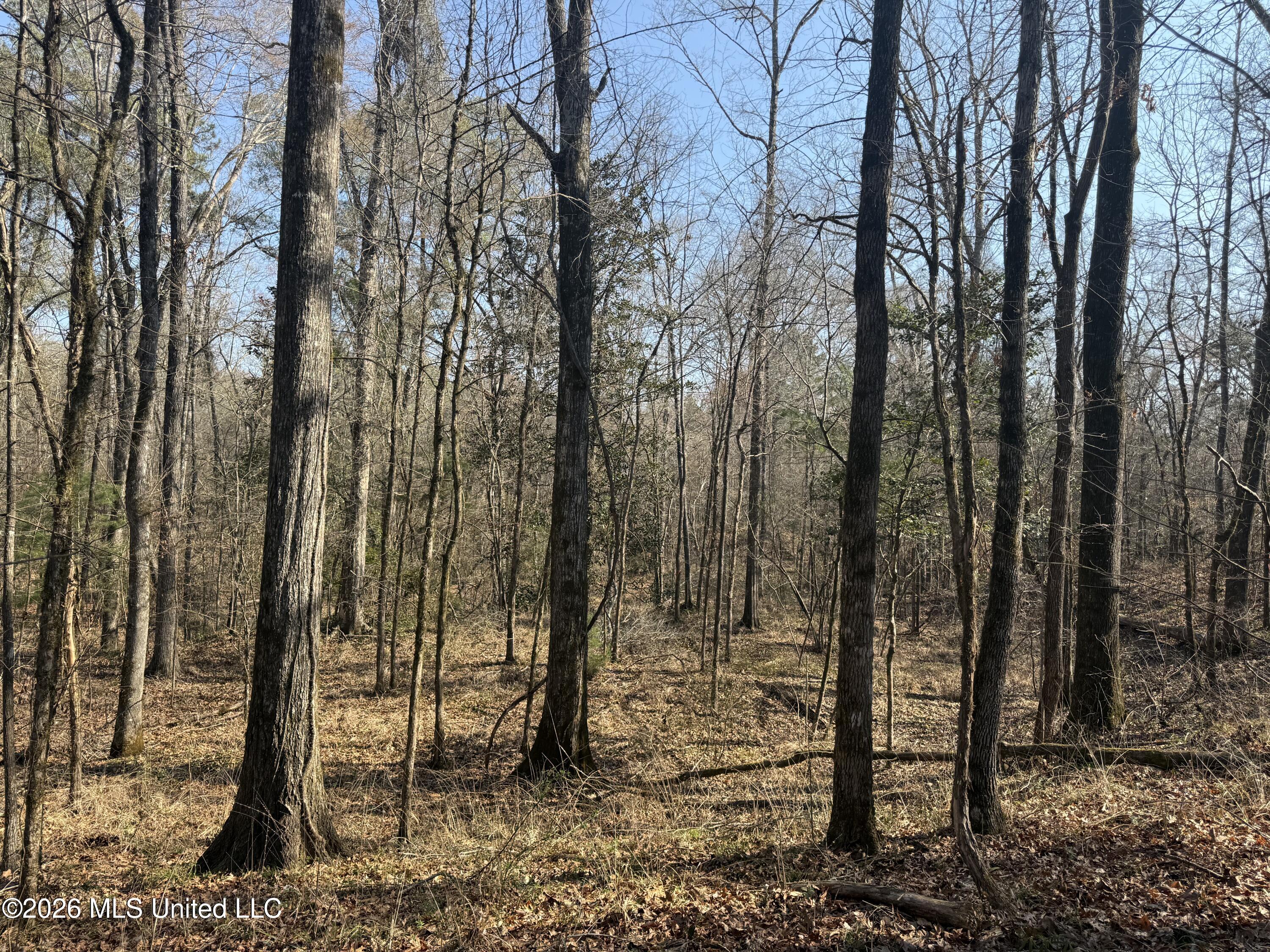 Railroad Lane Property Photo 24