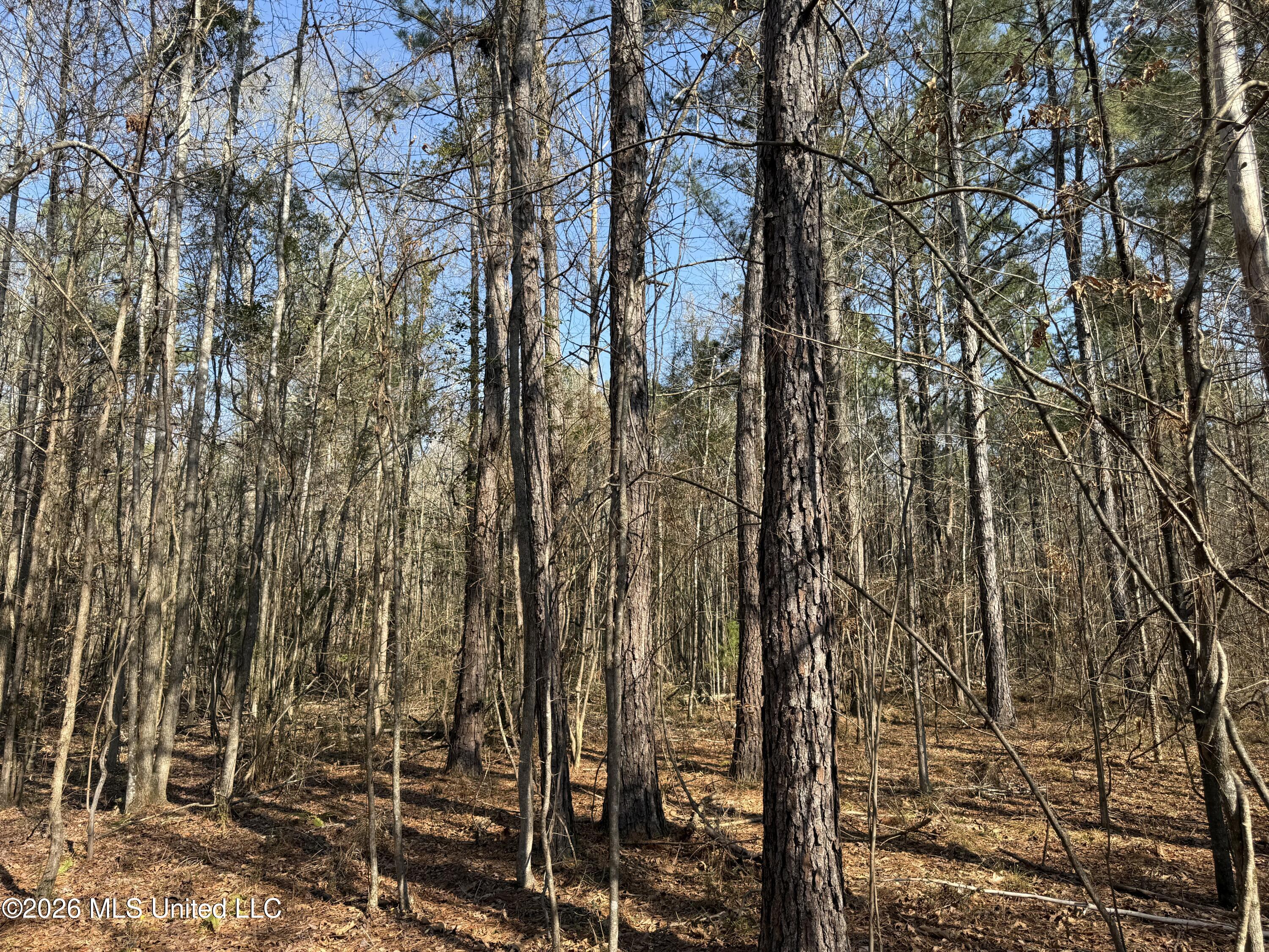 Railroad Lane Property Photo 25