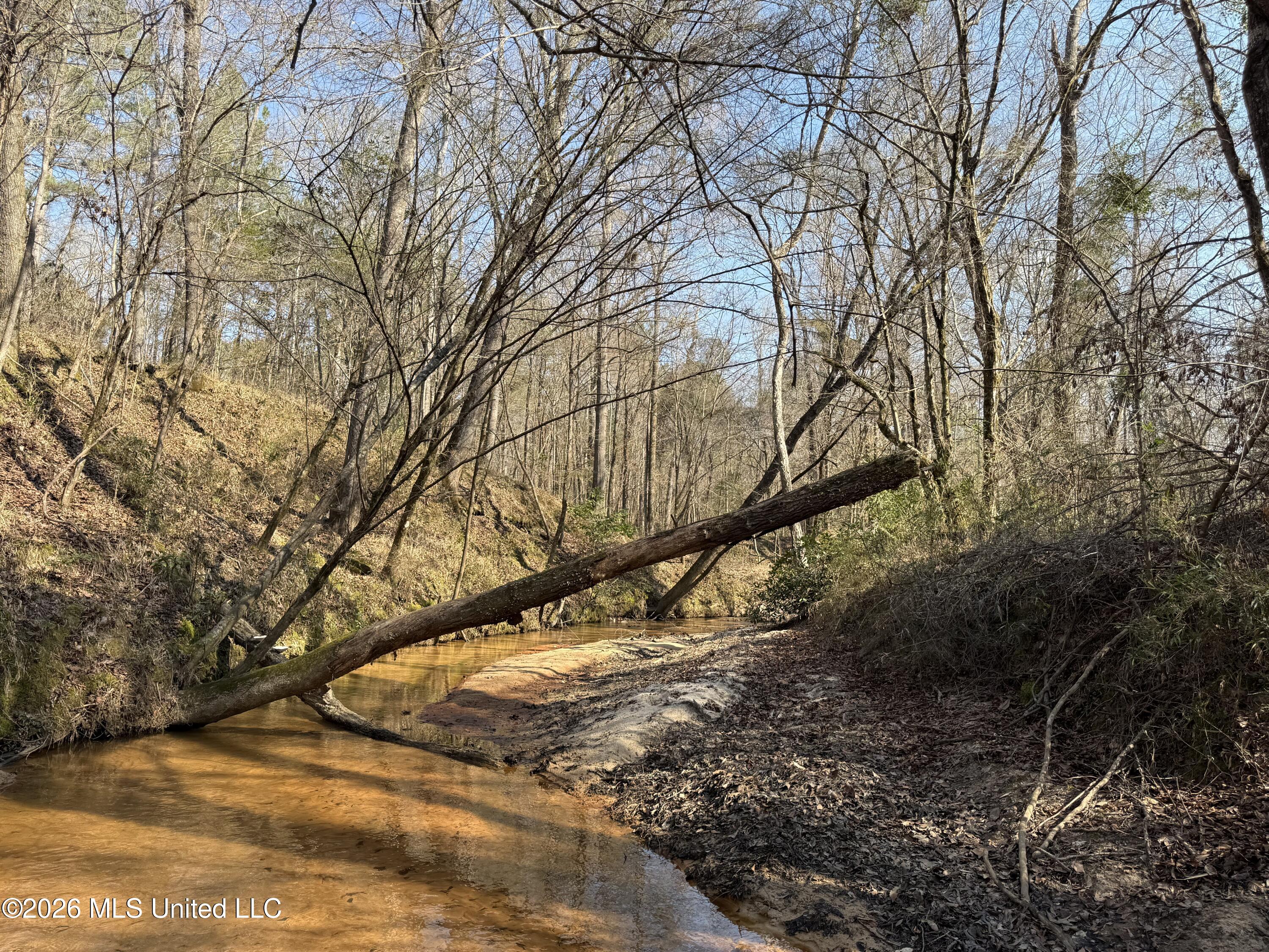 Railroad Lane Property Photo 27