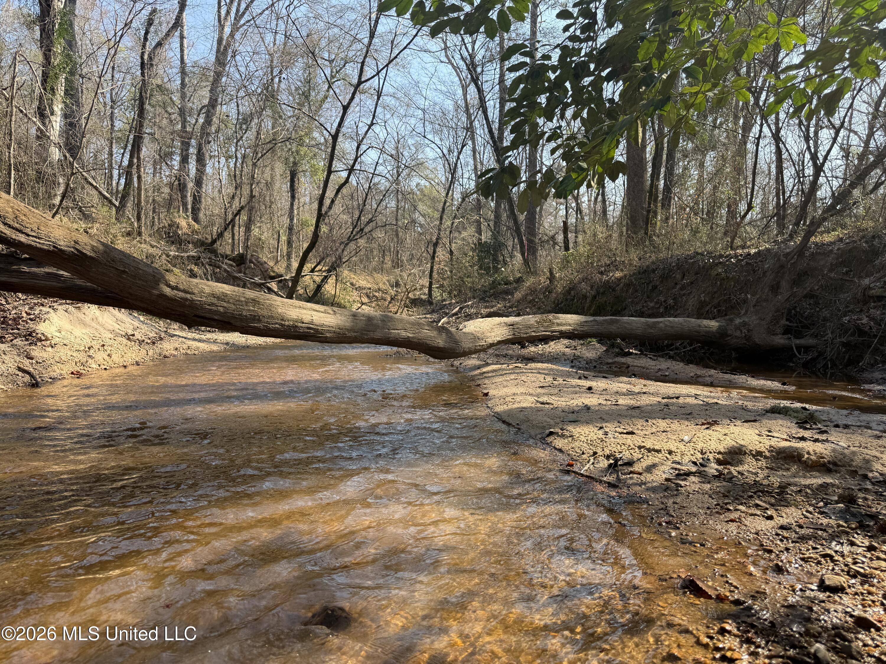 Railroad Lane Property Photo 28