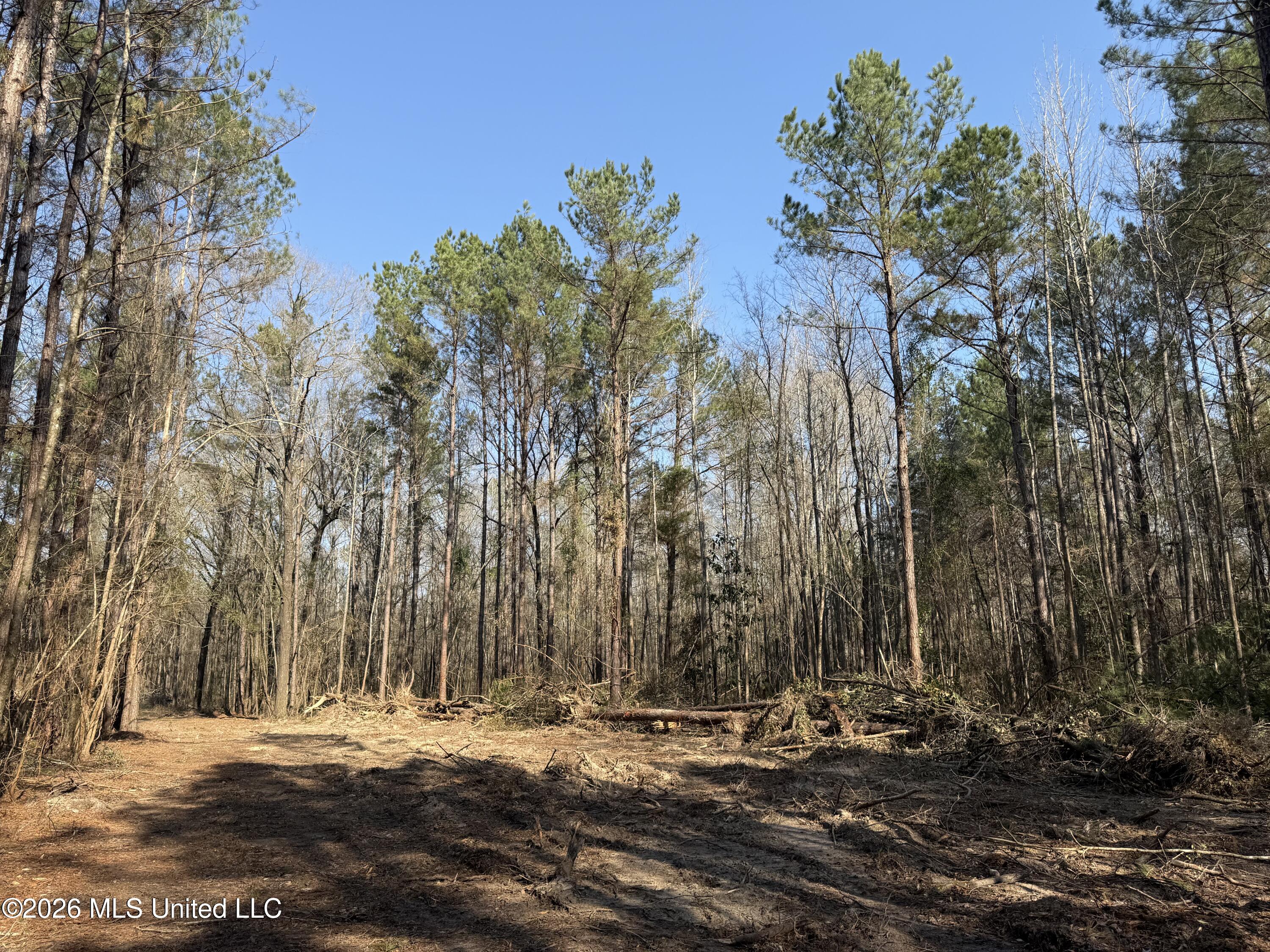 Railroad Lane Property Photo 31