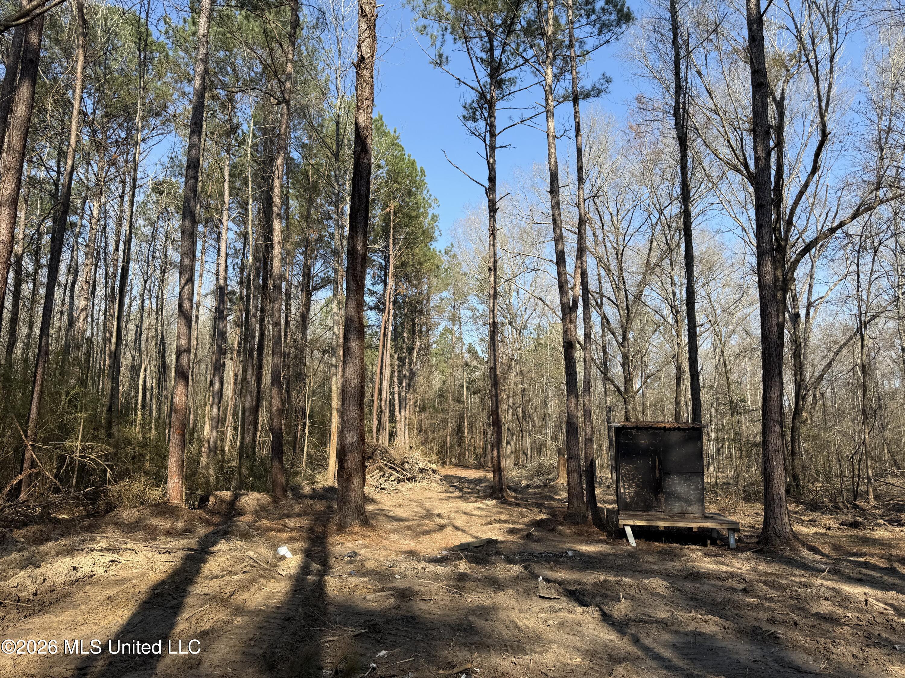 Railroad Lane Property Photo 32