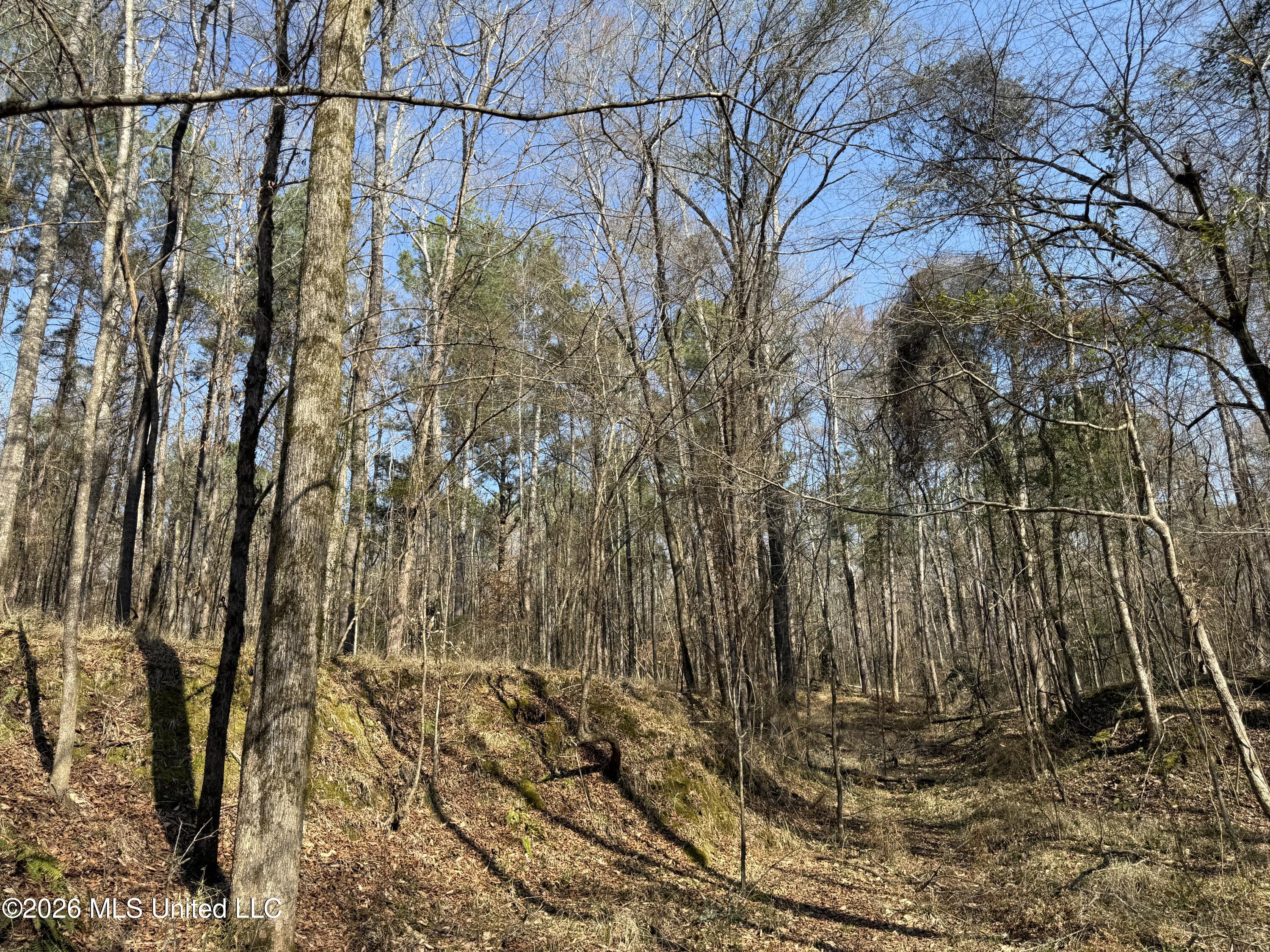 Railroad Lane Property Photo 35