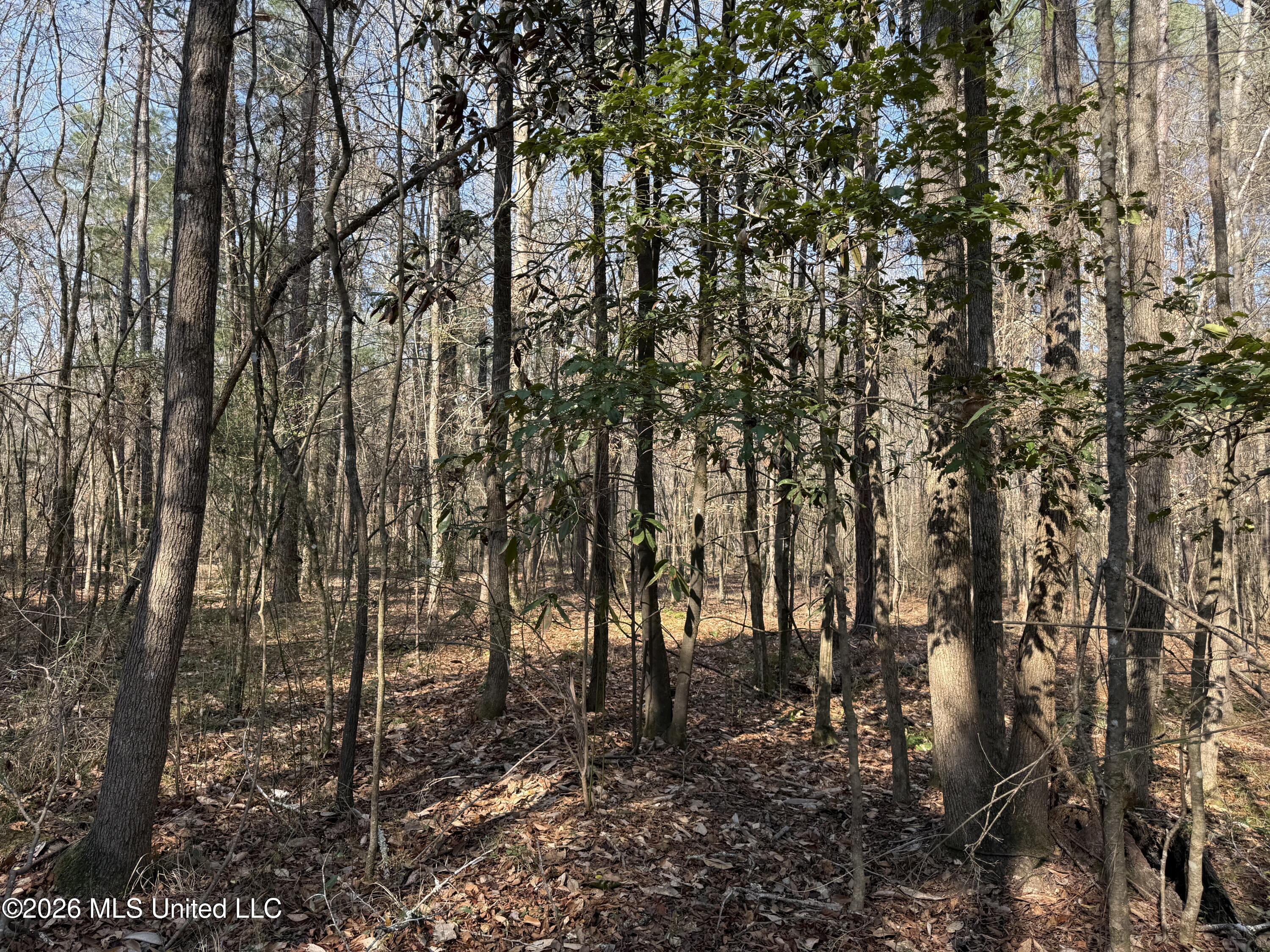 Railroad Lane Property Photo 38