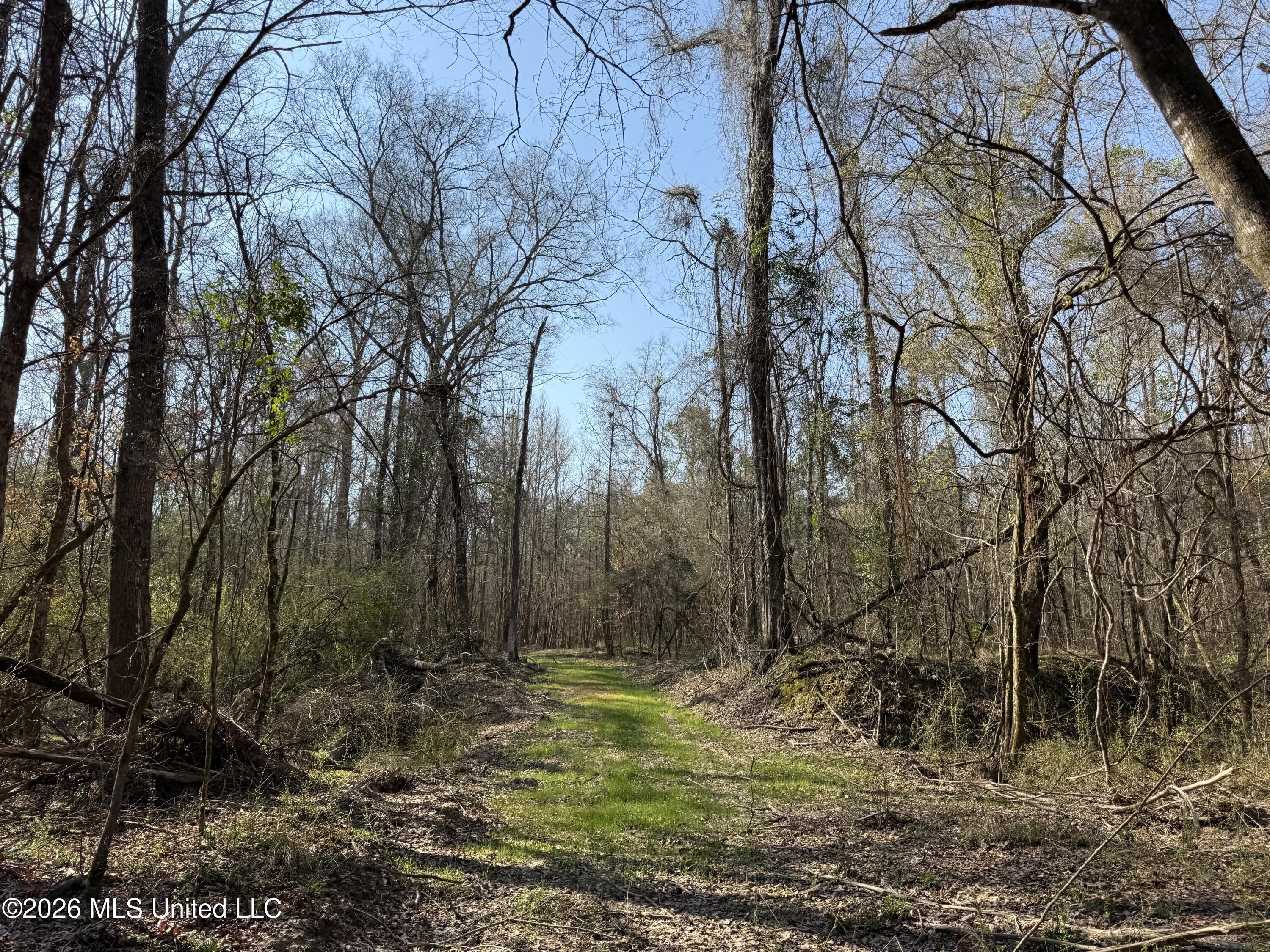 Railroad Lane Property Photo 39