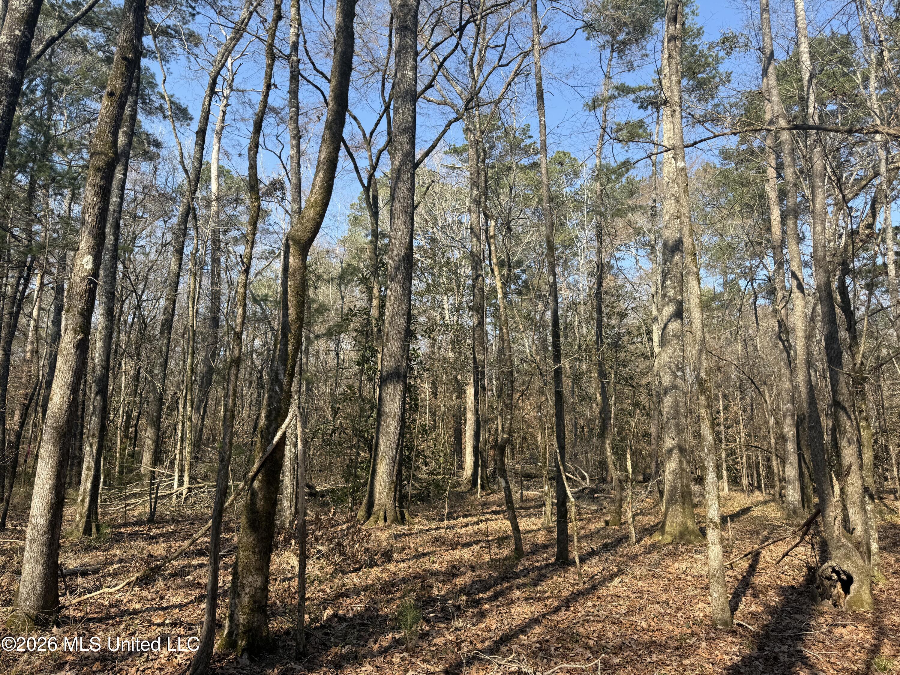 Railroad Lane Property Photo 40