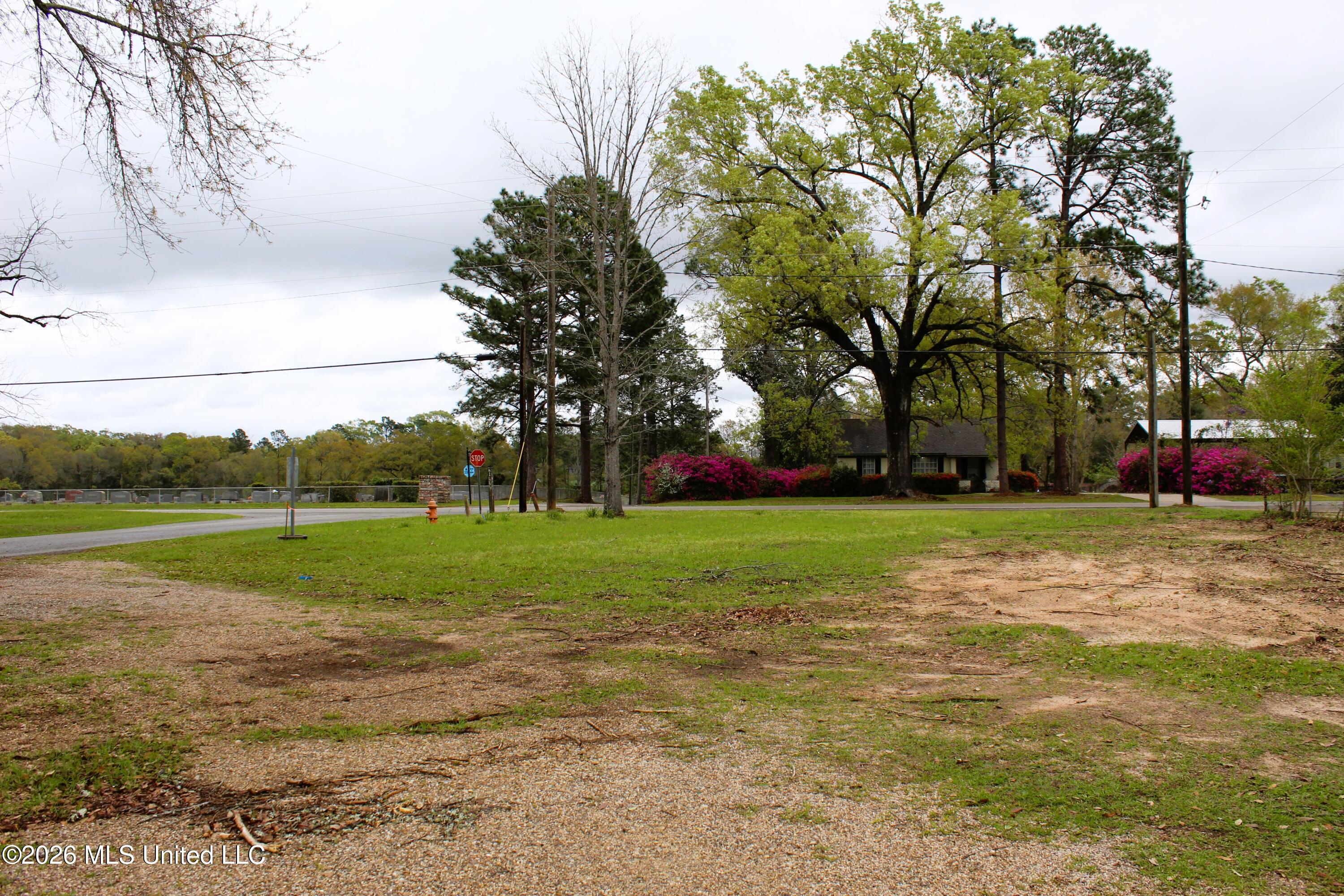 .22 Acres Mill Street Property Photo 2