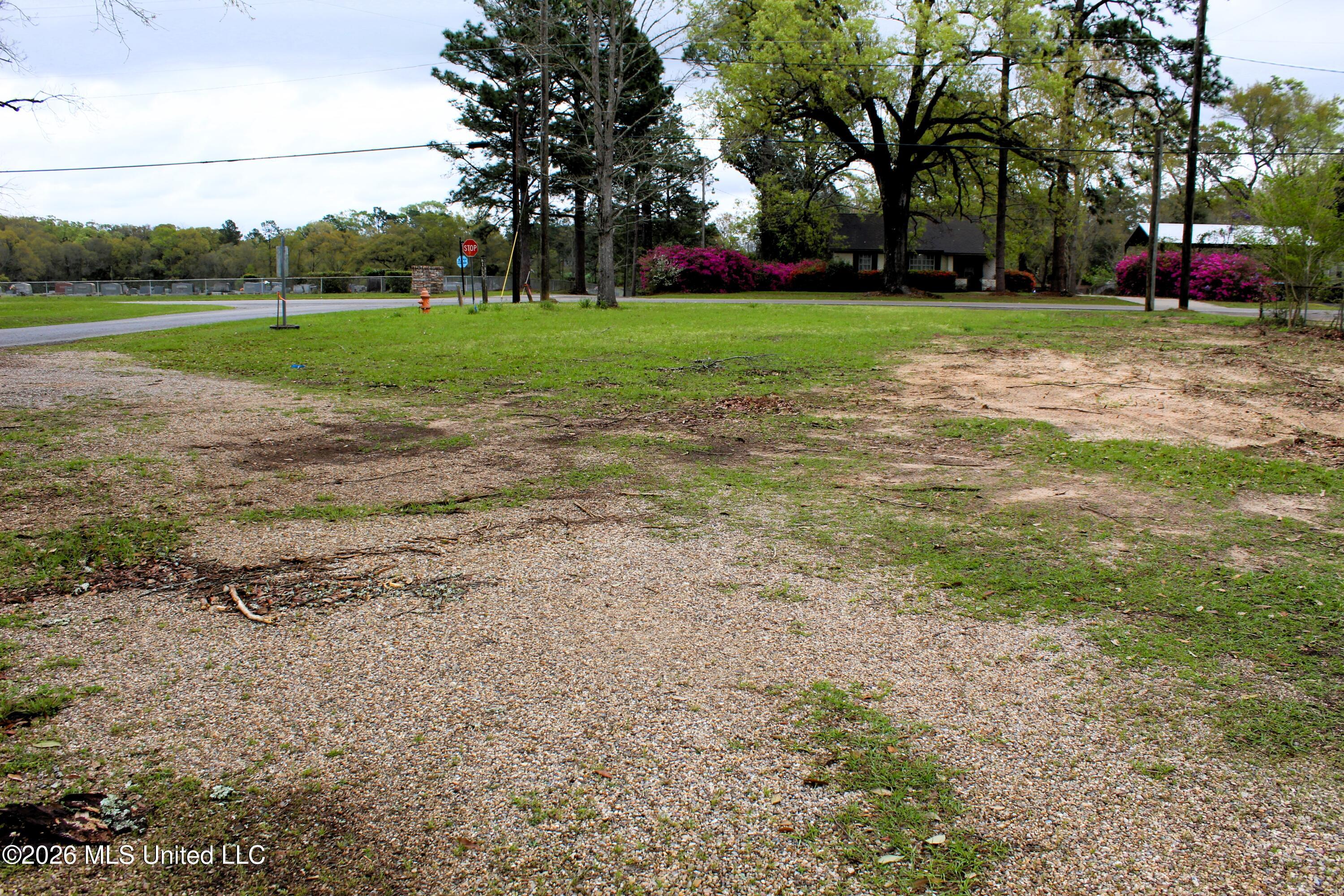 .22 Acres Mill Street Property Photo 3