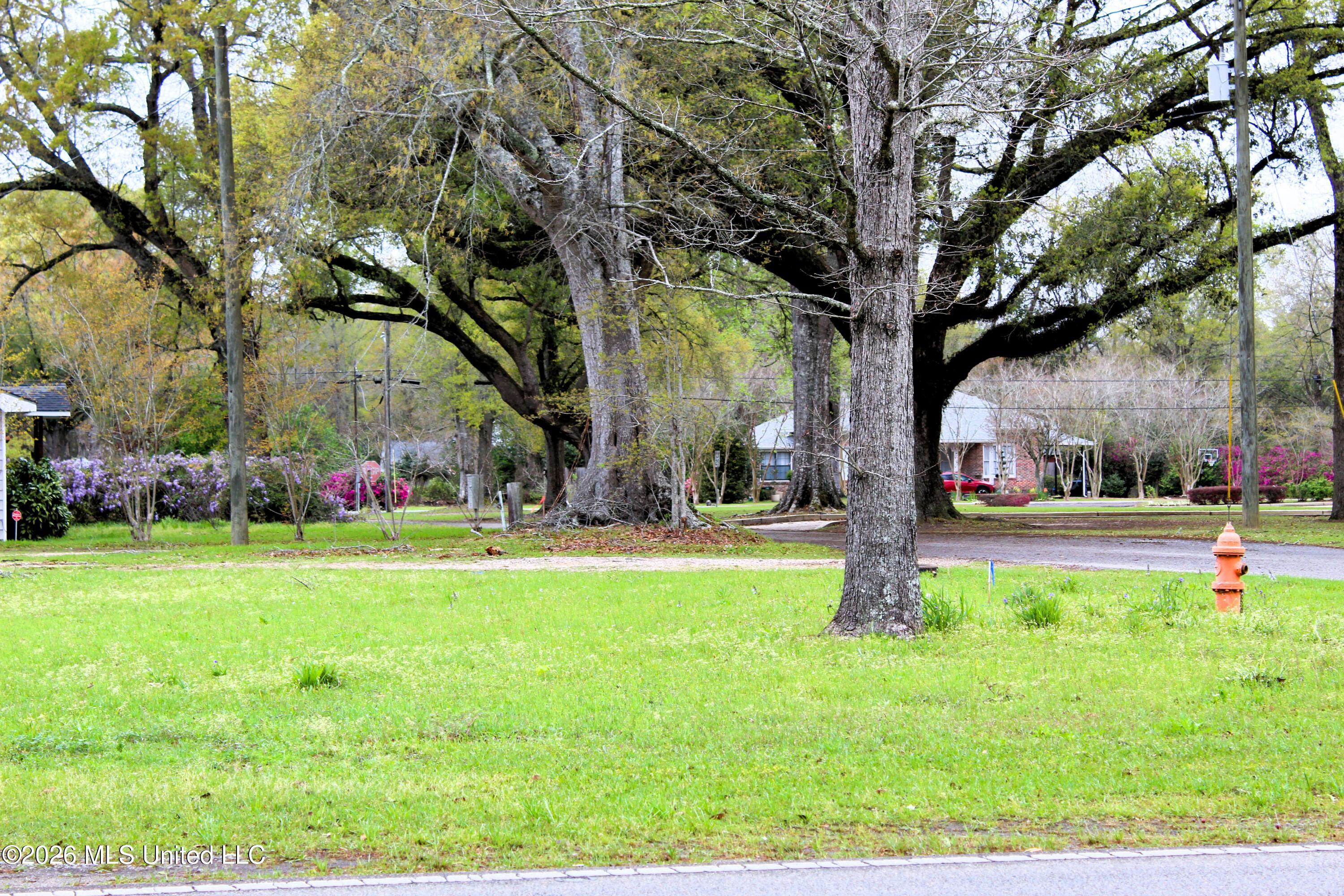 .22 Acres Mill Street Property Photo 4