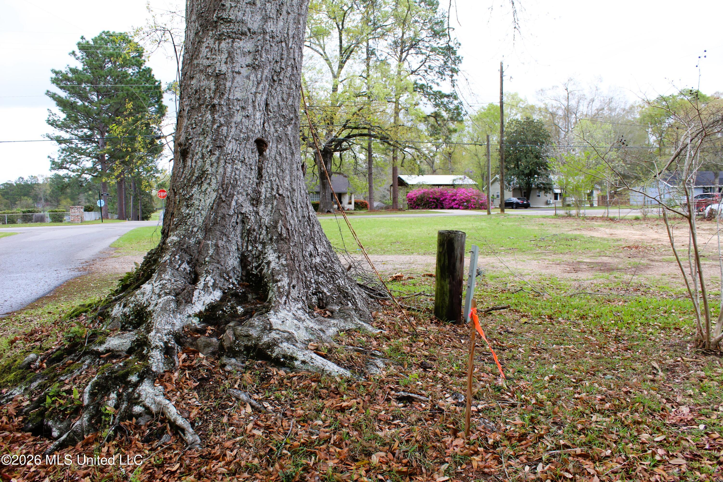 .22 Acres Mill Street Property Photo 7