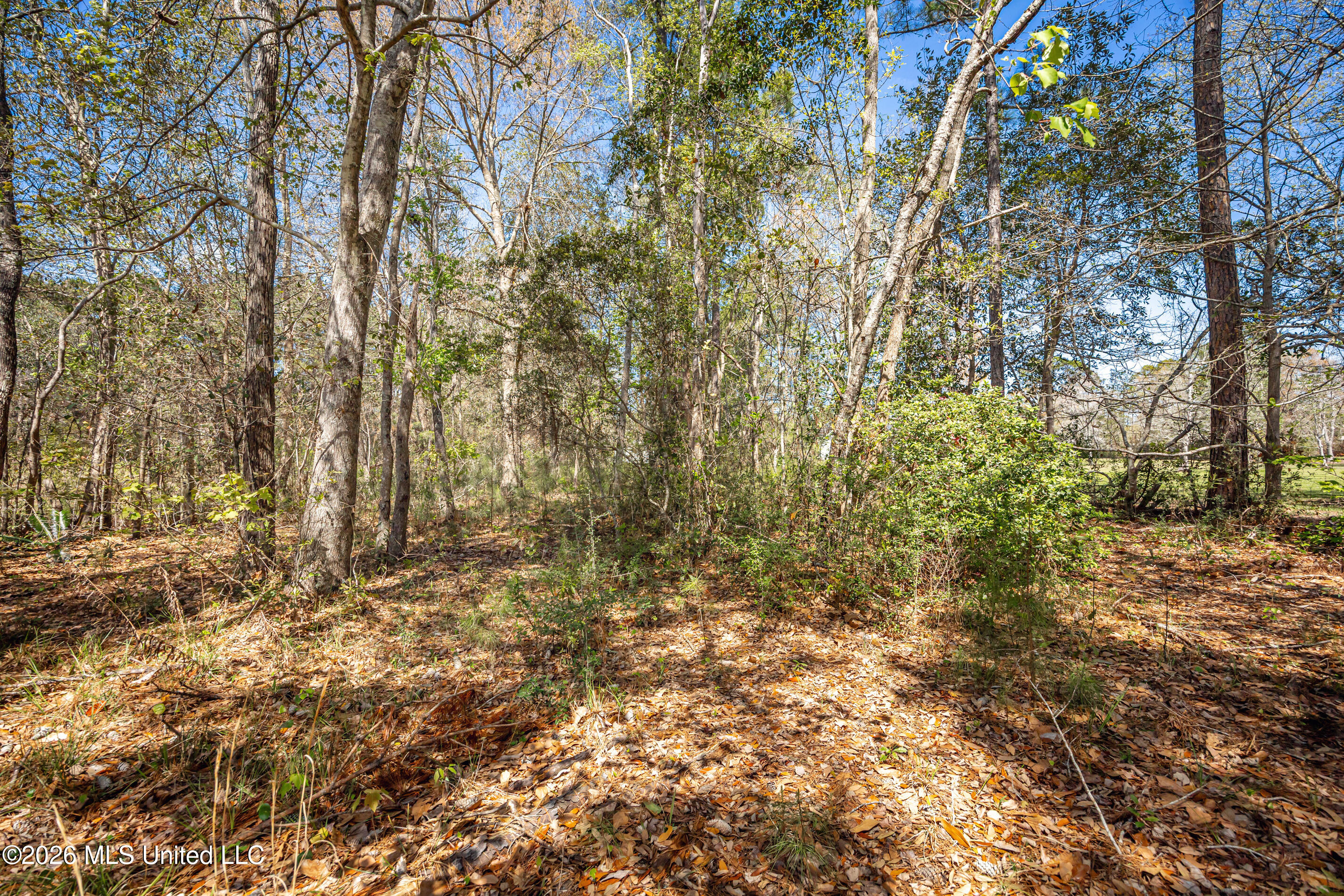 14804 Parker Road Property Photo 48