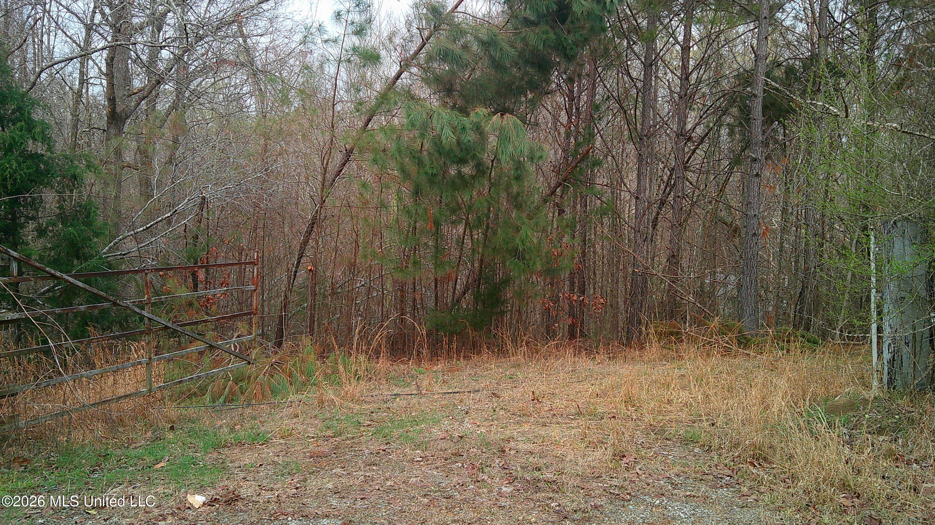 6259 Mississippi 5 Property Photo 9