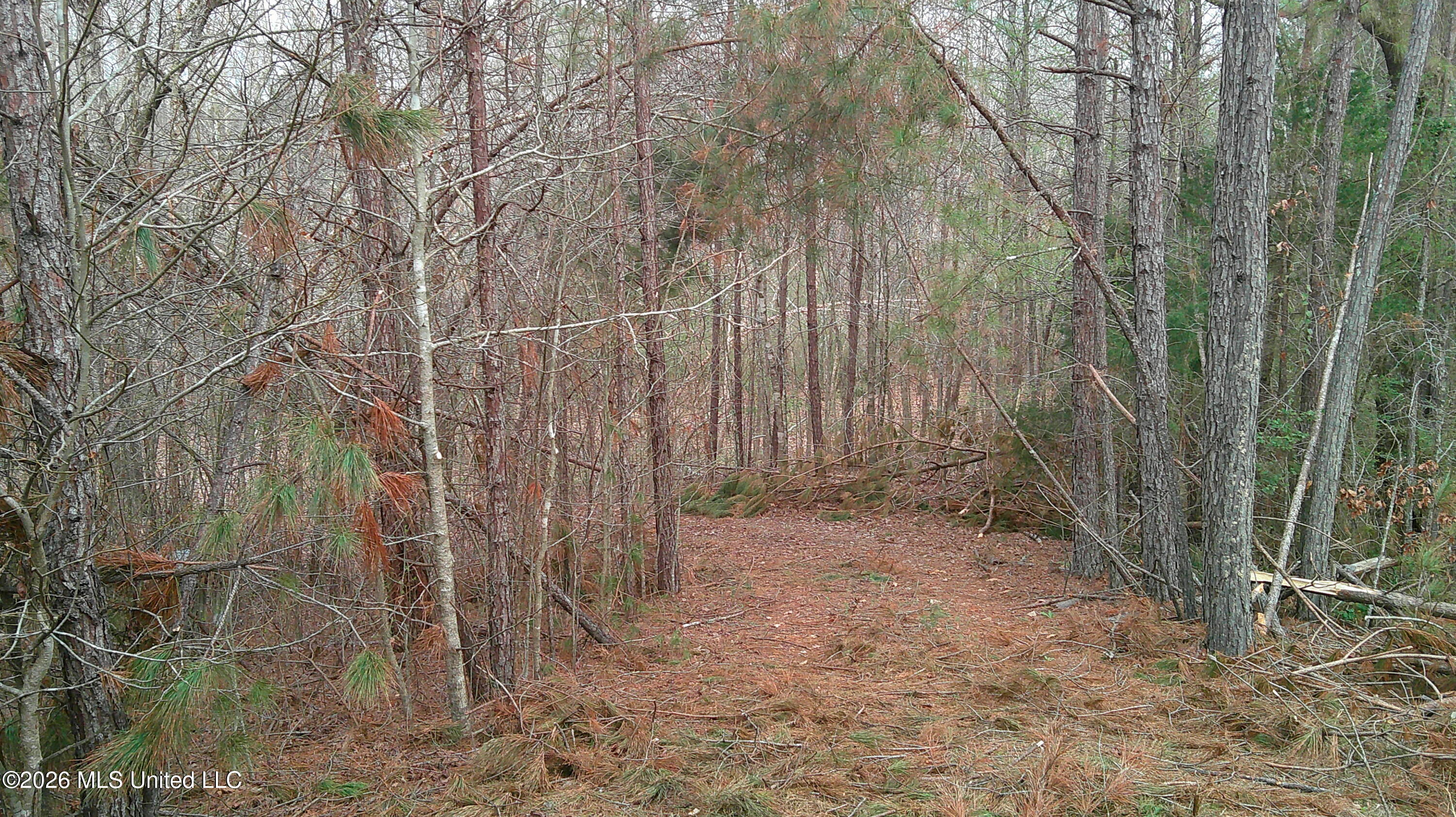 6259 Mississippi 5 Property Photo 10