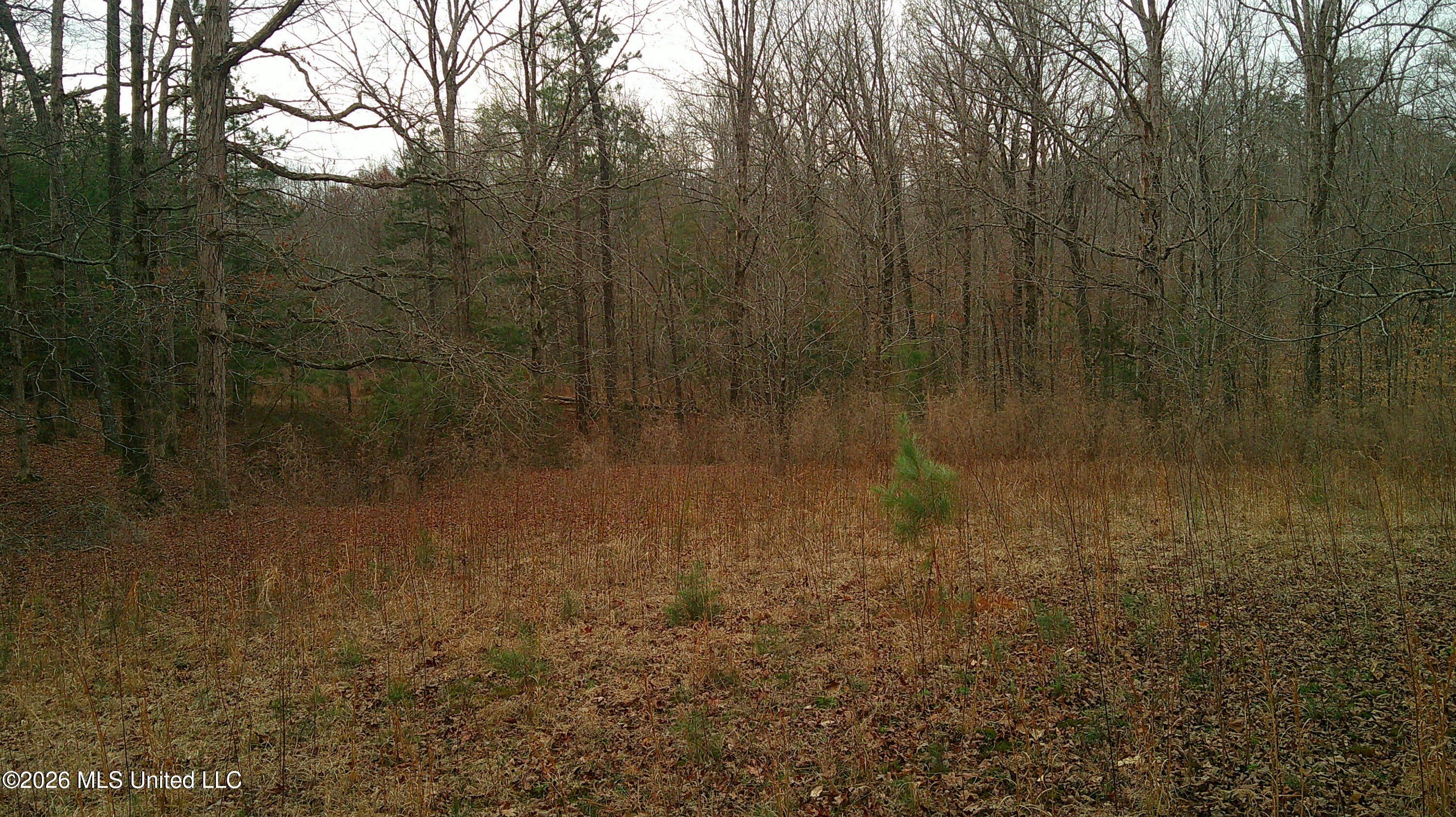 6259 Mississippi 5 Property Photo 13